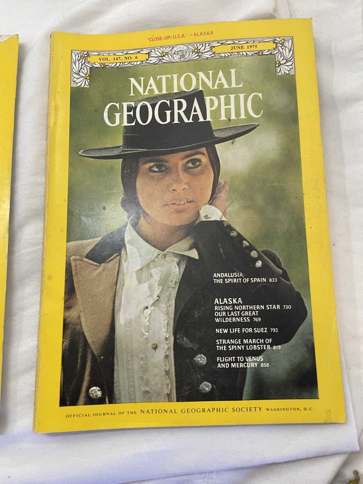 Nat Geo Mags Jan–Jul 1985 Vtg Slipcvr Set Collect Geo Travel Decor Ed.