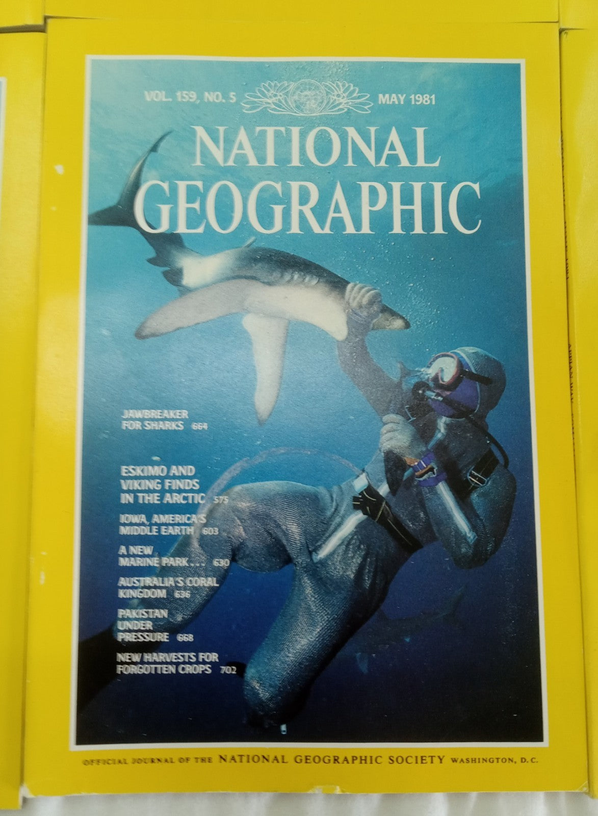 Nat Geo Jan–June 1981 VG+ | Vintage Magazine Set w/ Slipcase | 6 Issues