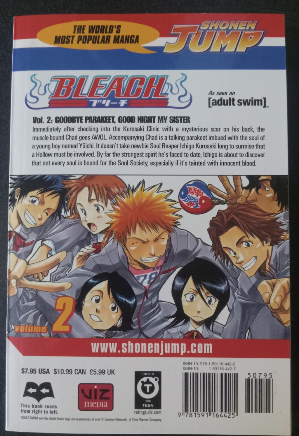 Bleach Vol 2 by Tite Kubo – 2004 Viz Manga PB Graphic Novel VG+