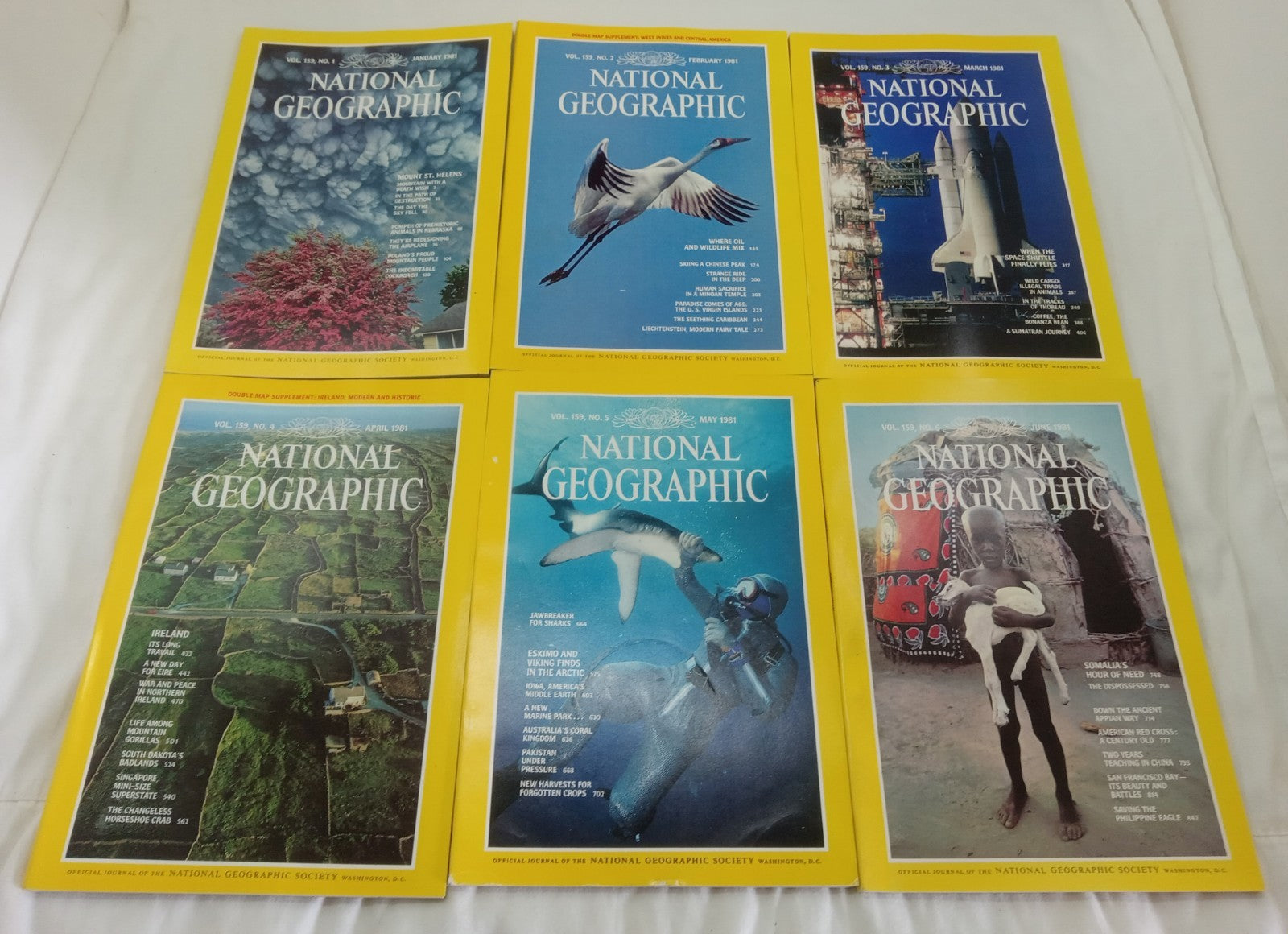 Nat Geo Jan–June 1981 VG+ | Vintage Magazine Set w/ Slipcase | 6 Issues