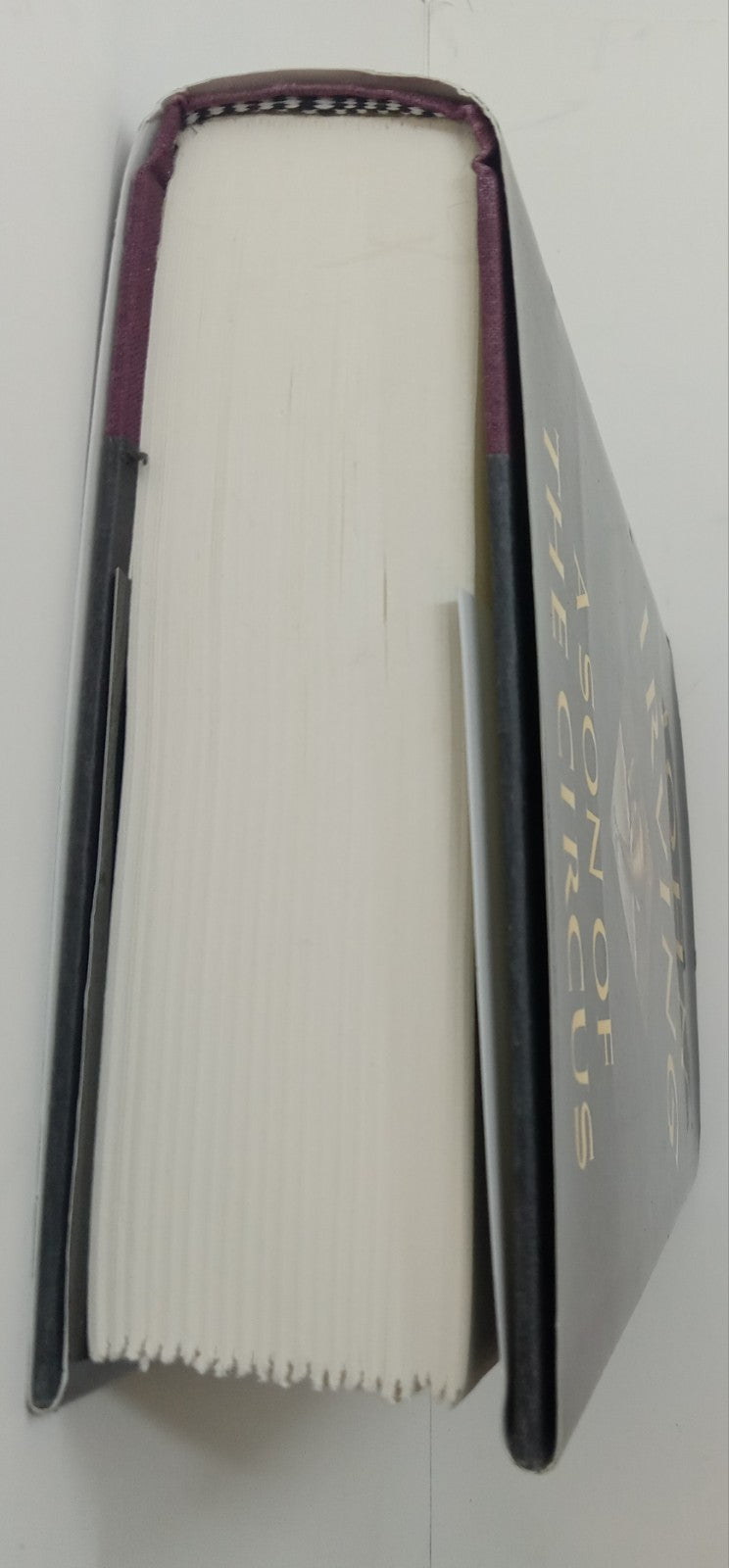 A Son of the Circus by John Irving – VG+ Literary Fiction Hardcover Book DJ