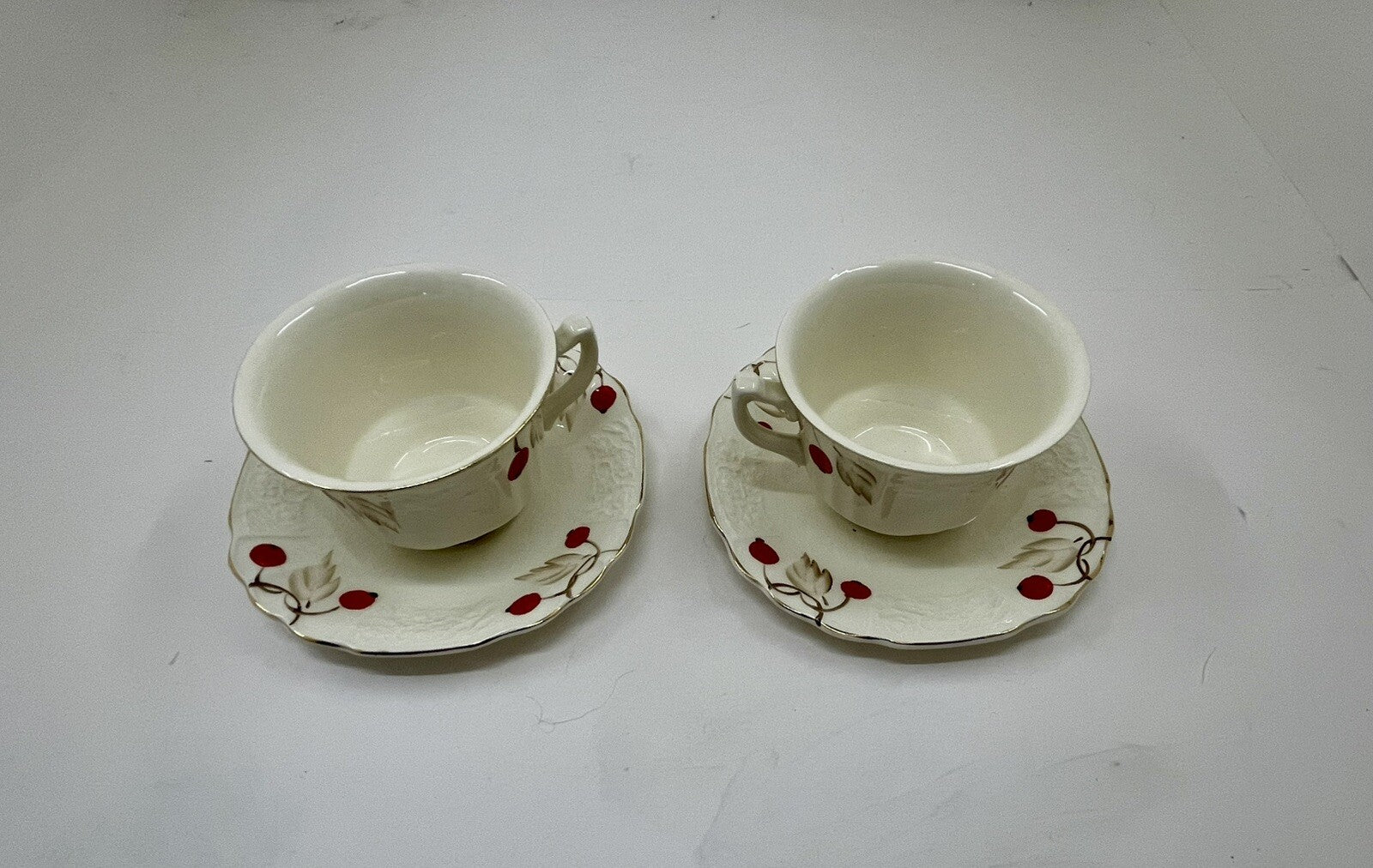 Myott Cherry Ripe Bone China Teacup & Saucer Set of 2 England Rose Floral