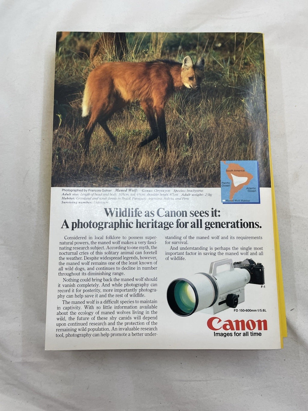 Nat Geo Mag Lot Jan–Jun 1986 Slipcvr Vtg Wildlife Travel History Photo