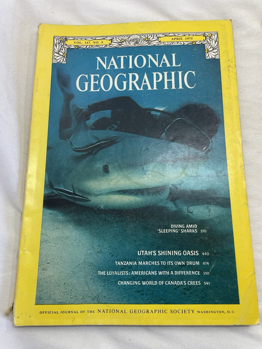 Nat Geo Mags Jan–Jul 1985 Vtg Slipcvr Set Collect Geo Travel Decor Ed.
