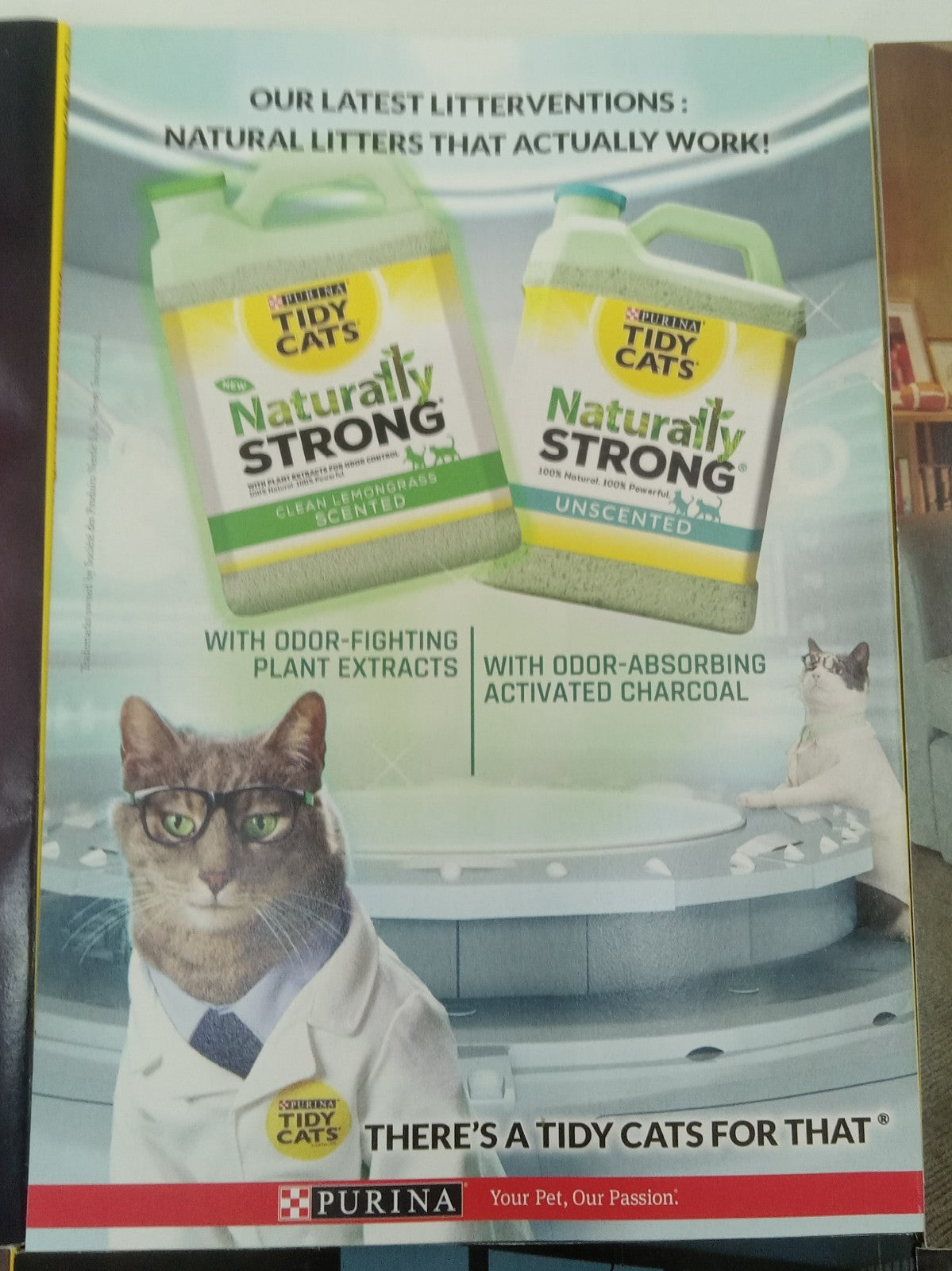 Nat Geo Jan–June 2021 | 6 VG+ Issues in Leatherette Slipcover Case