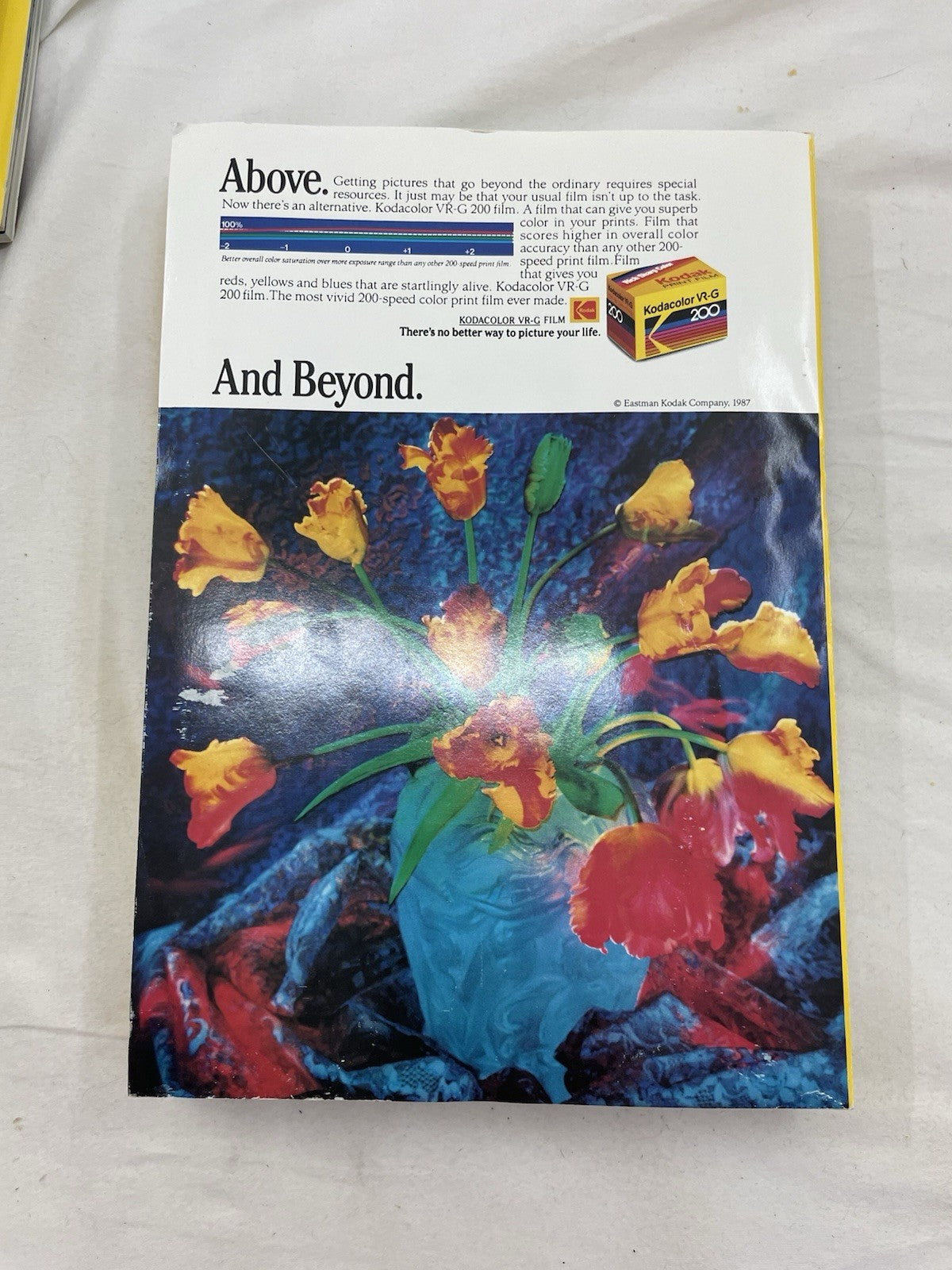 Nat Geo Mags Jul–Dec 1987 Vtg Slipcvr Set Wildlife World Decor Nature