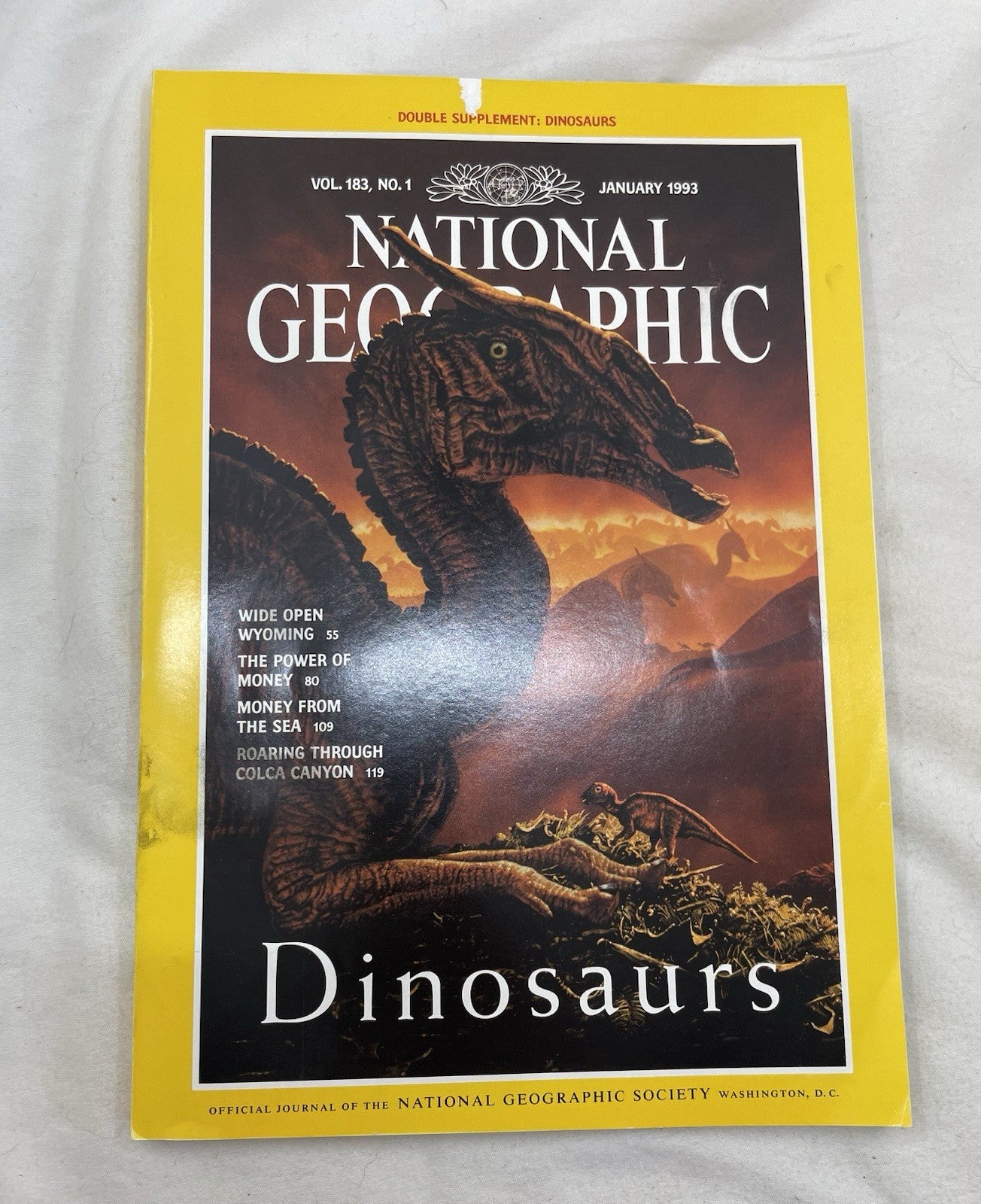 Vintage Nat Geo Lot Jan–Jun 1993 w/ Slipcover | Science, Illustrated Set