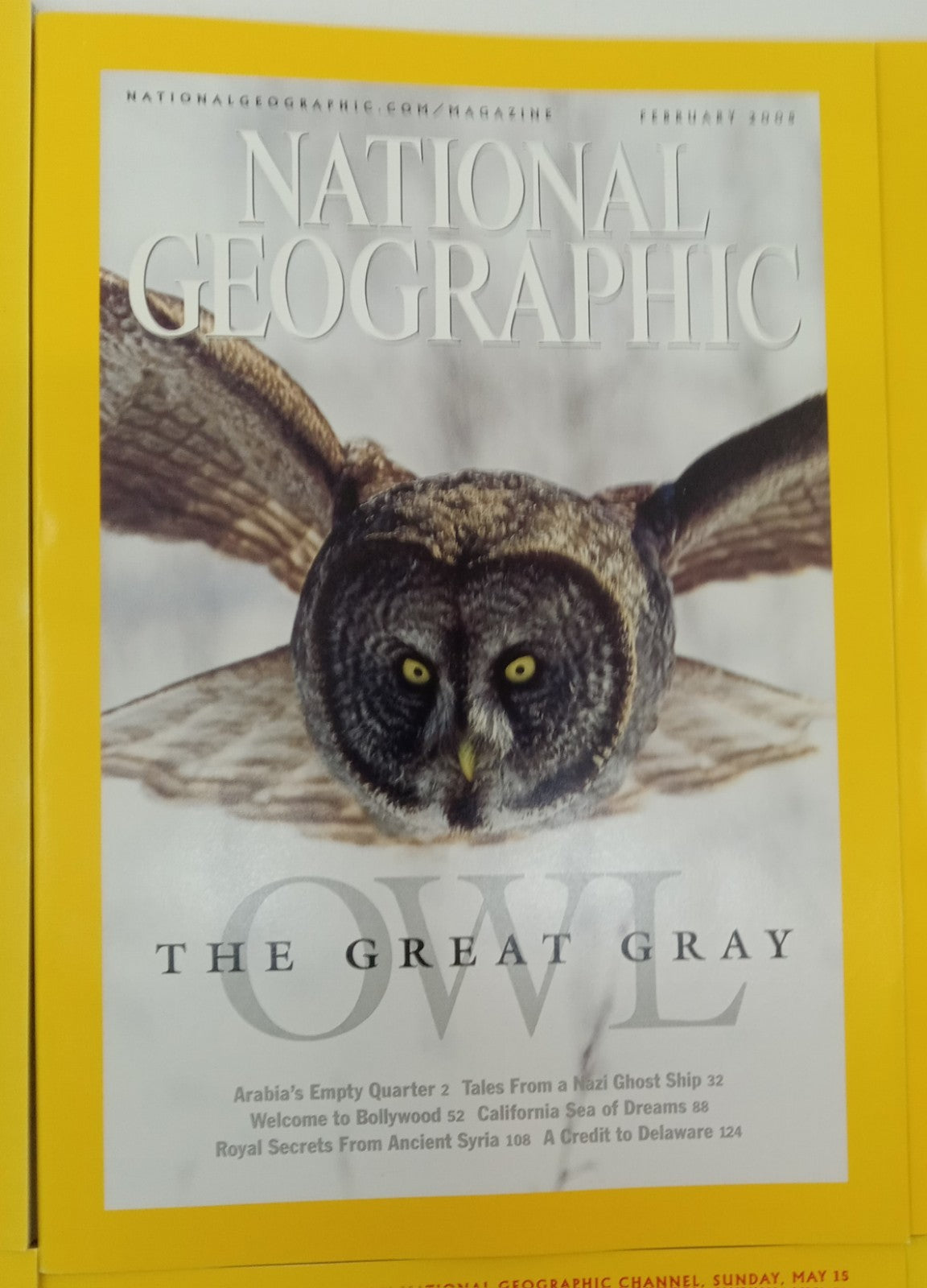 Nat Geo Jan–June 2005 VG+ | Faux Leather Case | 6-Issue Magazine Set