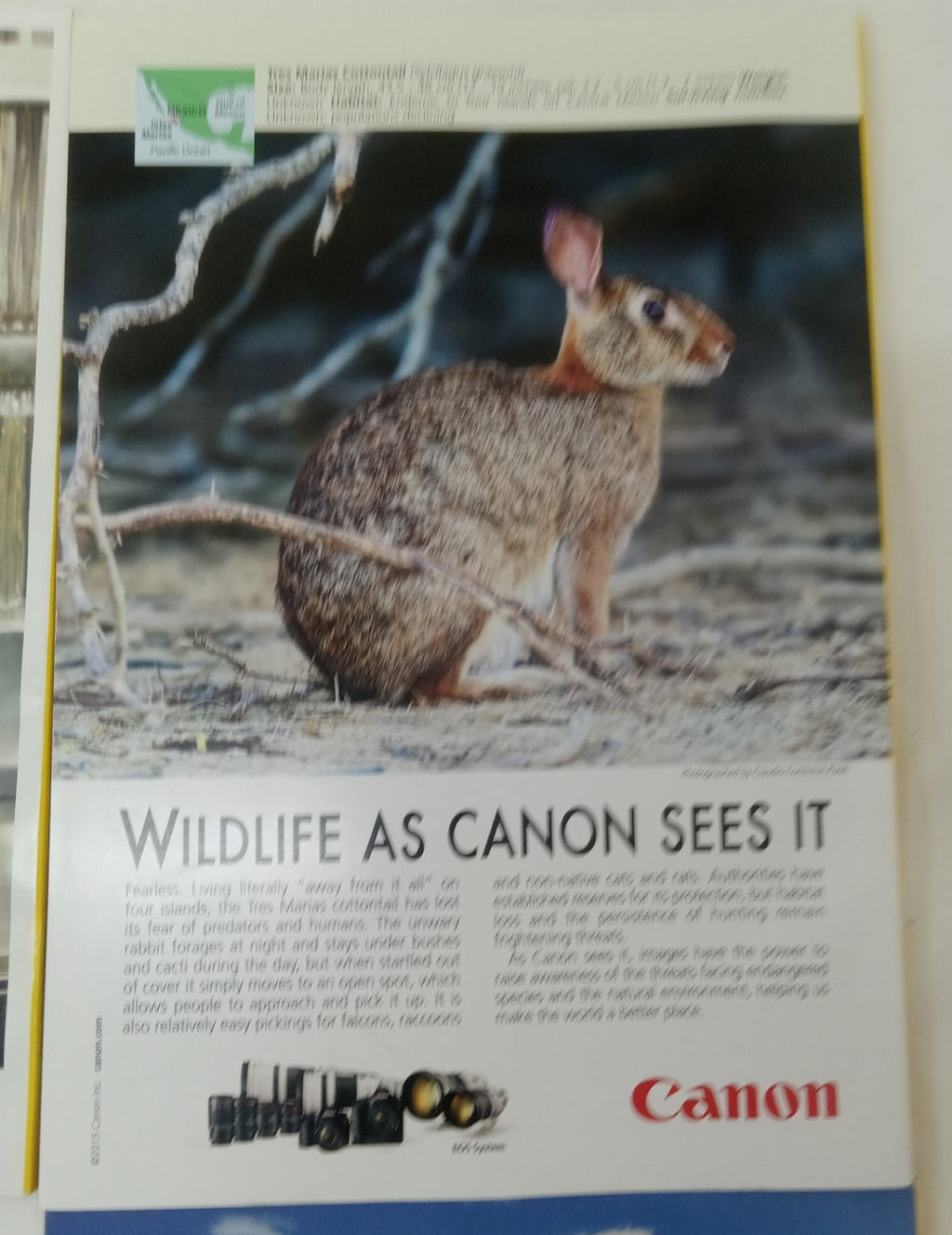 Nat Geo Jan–June 2015 VG+ | Faux Leatherette Case | 6 Issue Magazine Set