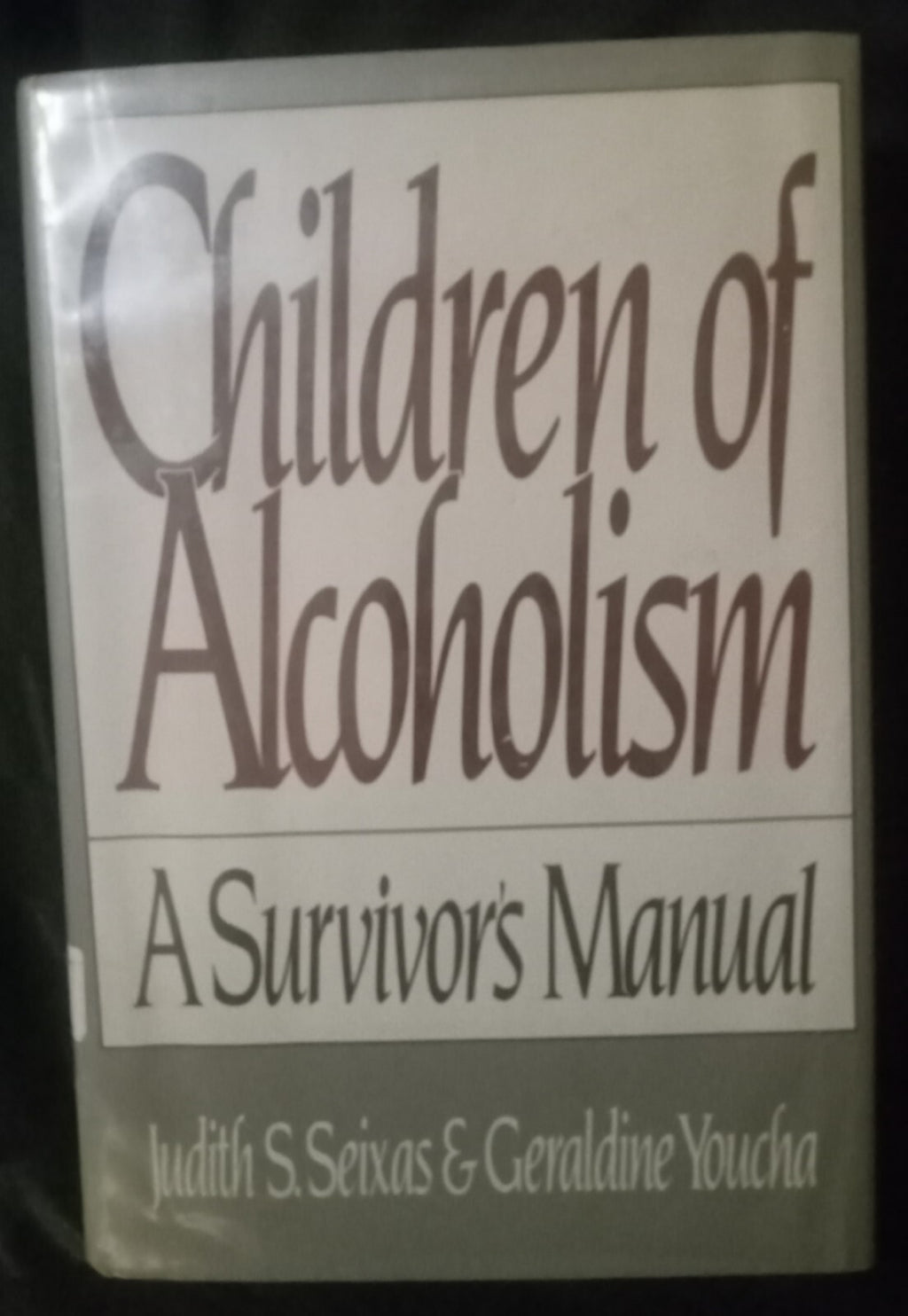 Children of Alcoholism – Seixas & Youcha – Paperback