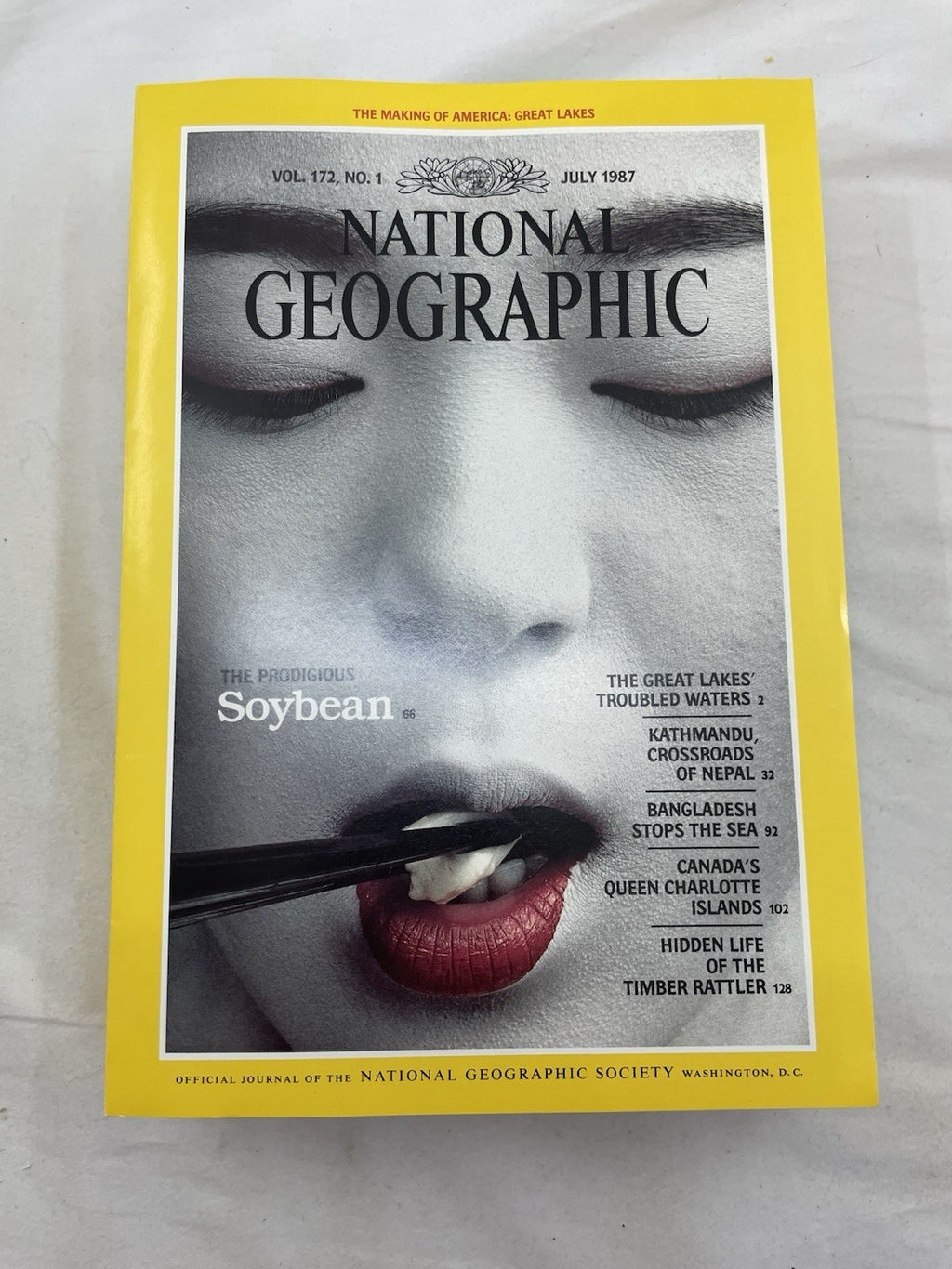 Nat Geo Mags Jul–Dec 1987 Vtg Slipcvr Set Wildlife World Decor Nature