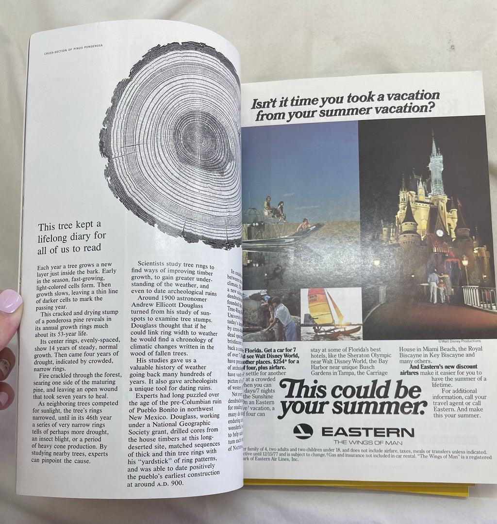 Nat Geo Jan–Jun 1977 Slipcover Lot | Earth, Culture, Illustrated Guide