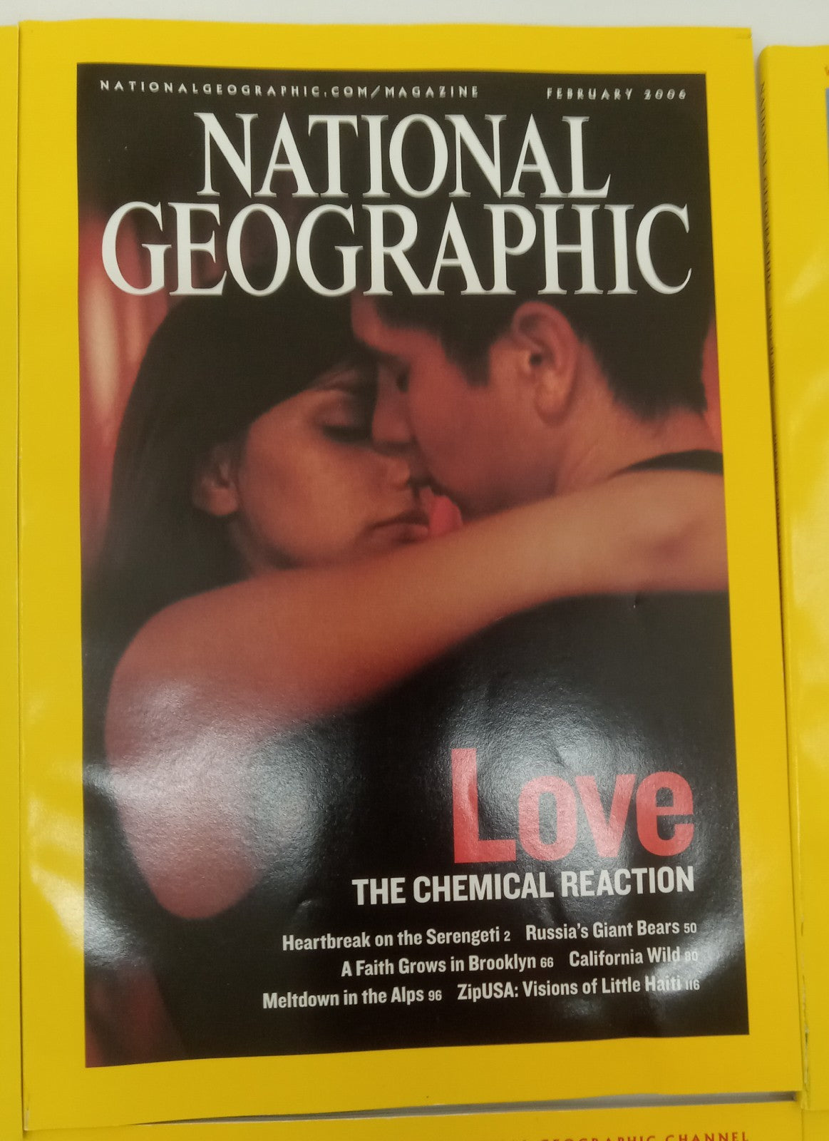 National Geographic Jan–June 2006 | 6 VG+ Issues | Leatherette Slipcase