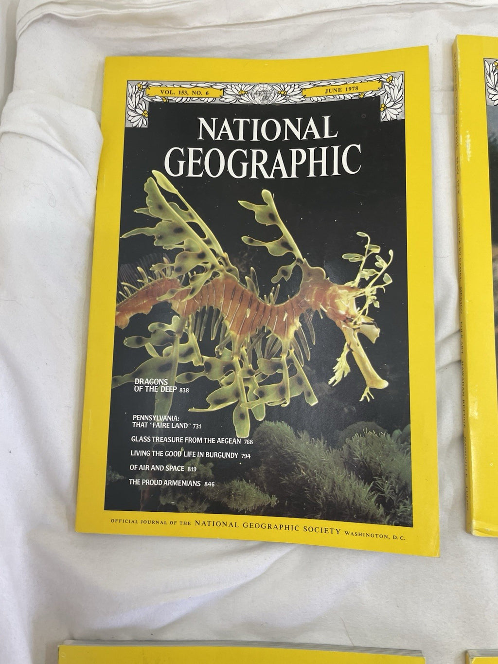 Nat Geo Jan–Jun 1978 Slipcover Lot | Wildlife, Adventure, Exploration
