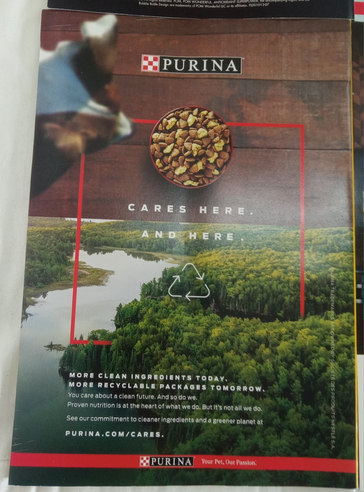 Nat Geo Jan–June 2021 | 6 VG+ Issues in Leatherette Slipcover Case