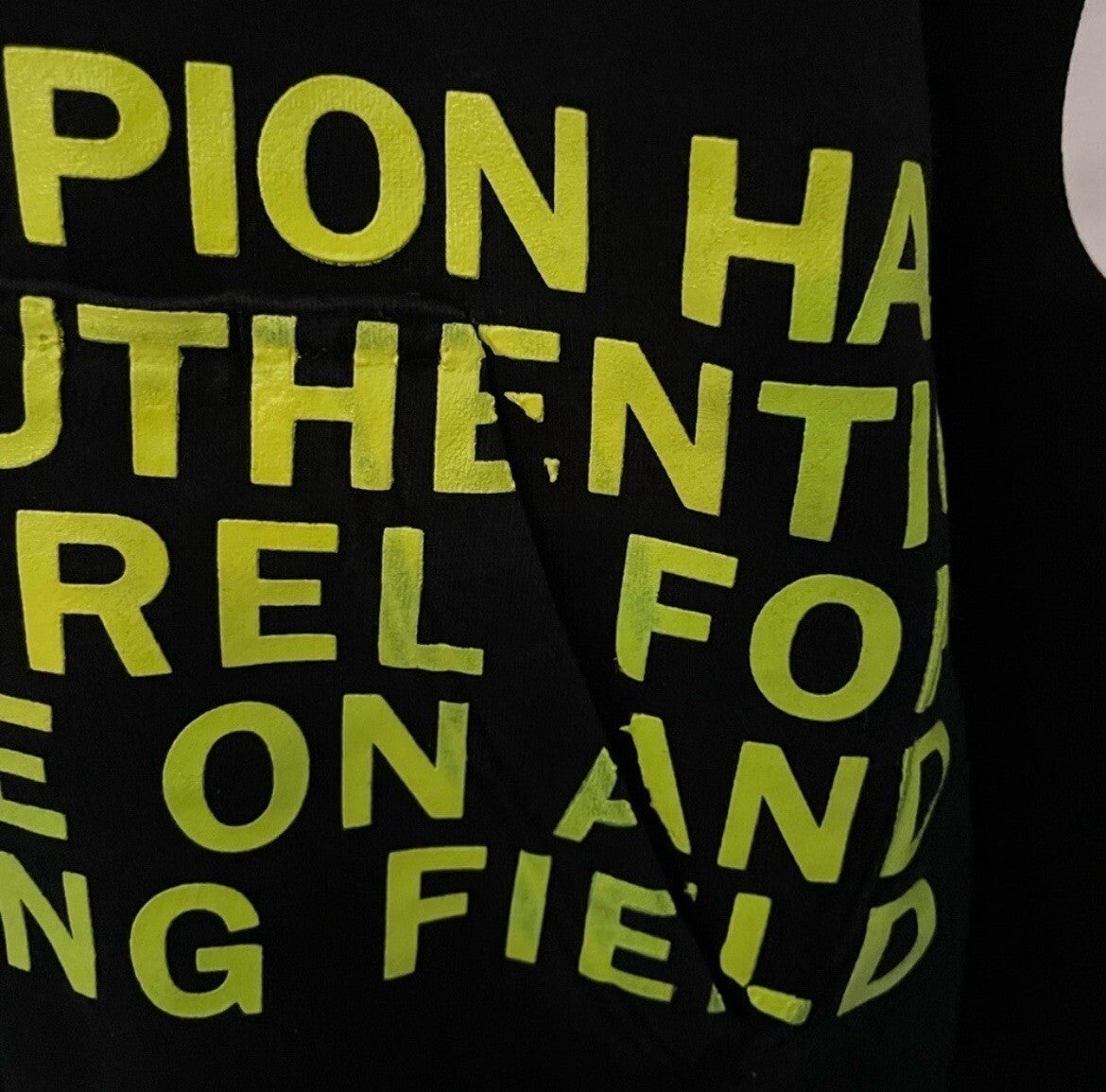 Unisex Champion Anniversary Hoody Size Medium – Classic Sweatshirt VG