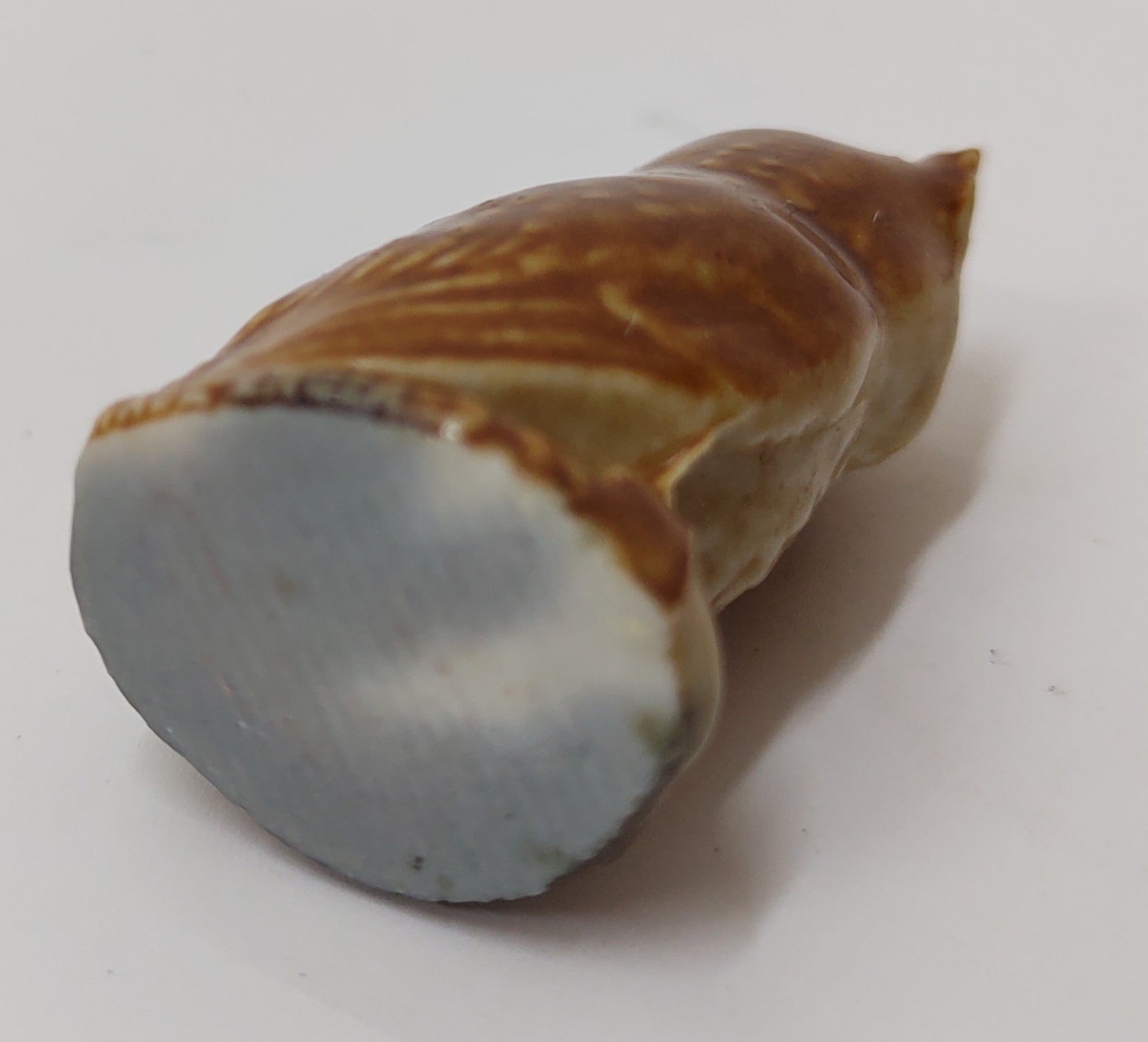 Wade Whimsies Series 2 #14 Barn Owl Mini Figurine 1972-84 Red Rose Tea