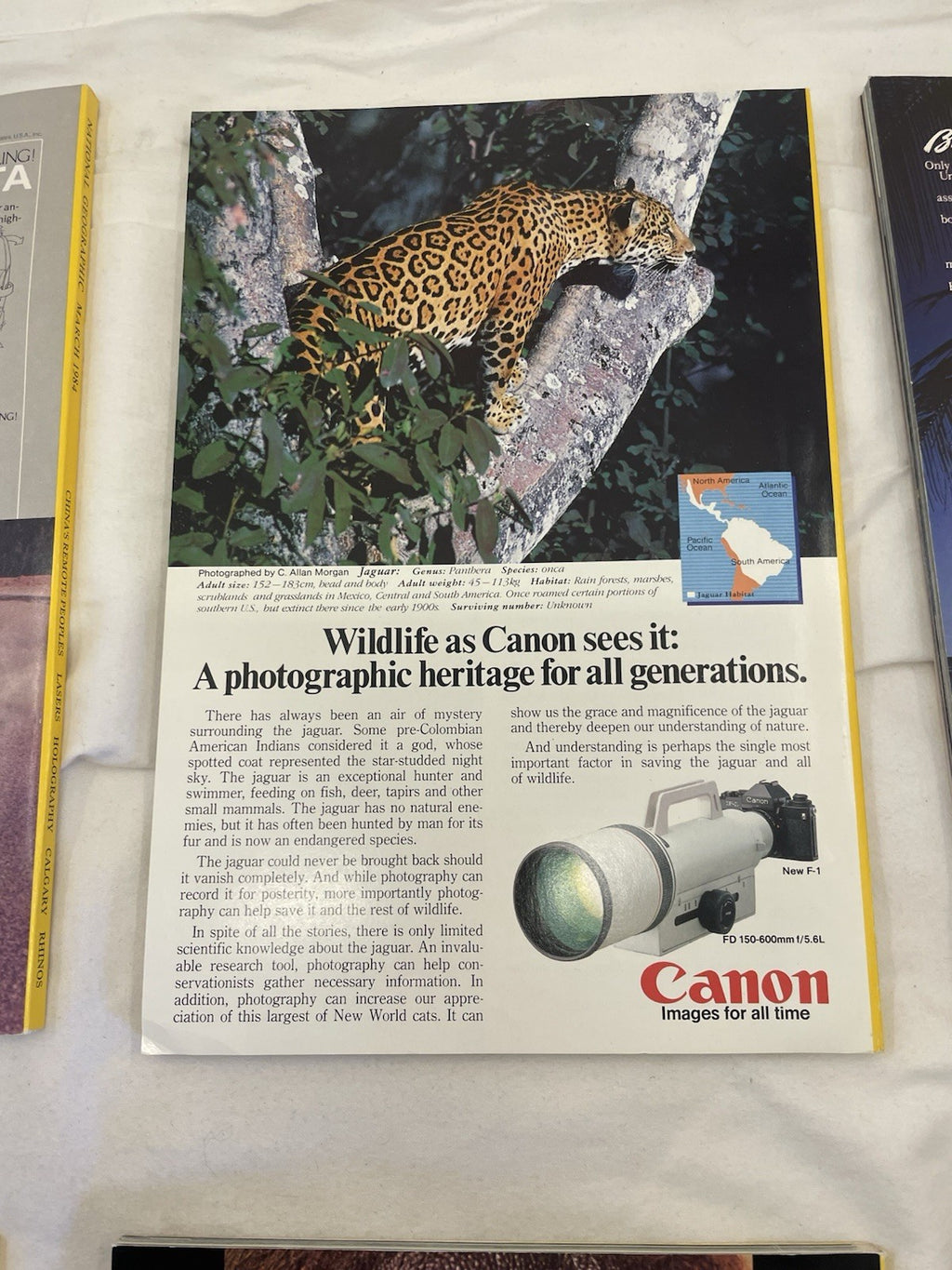 Nat Geo Mags Jan–Jun 1984 Vtg Wildlife Geo Nature Travel Decor Slipcvr