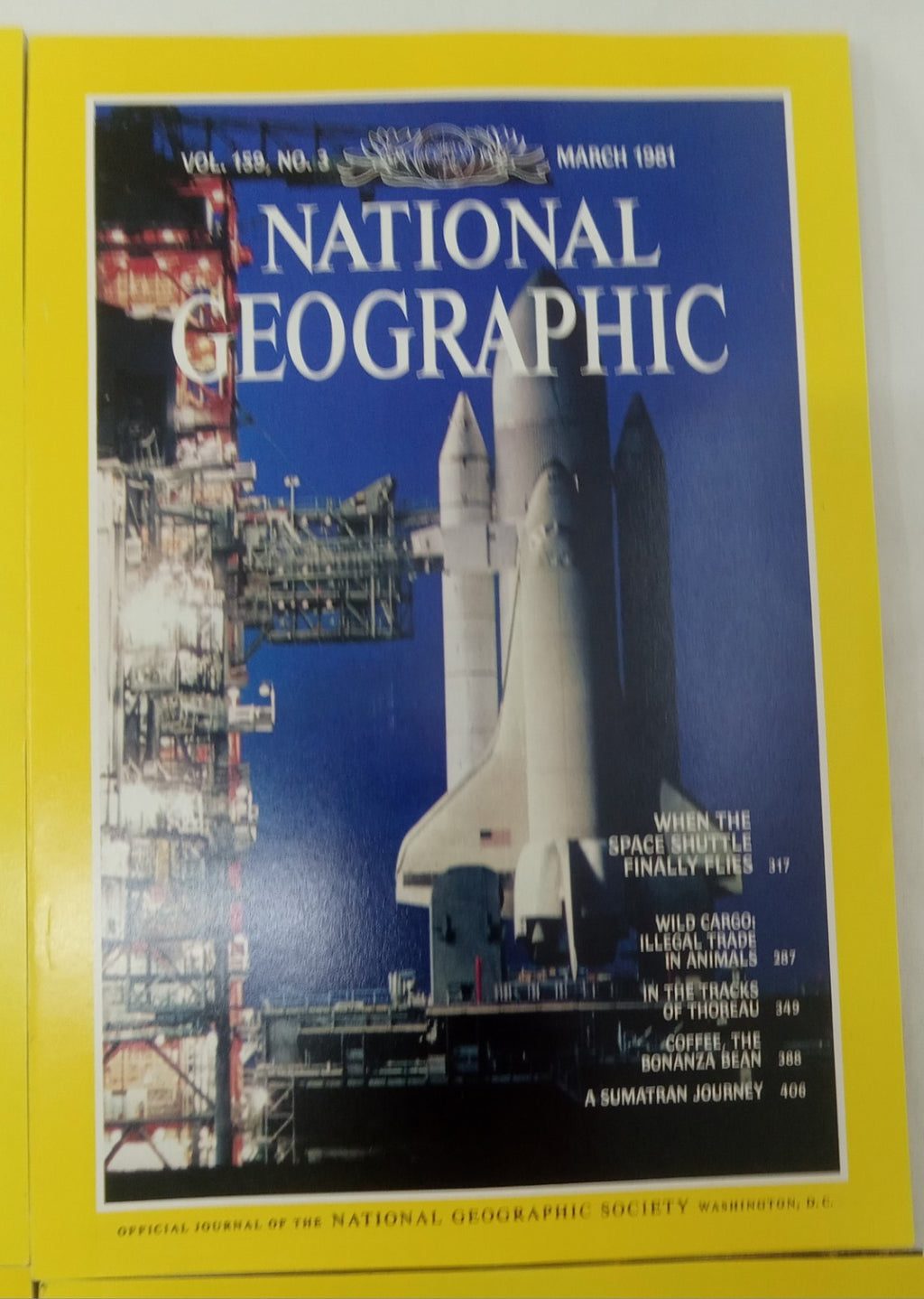 Nat Geo Jan–June 1981 VG+ | Vintage Magazine Set w/ Slipcase | 6 Issues