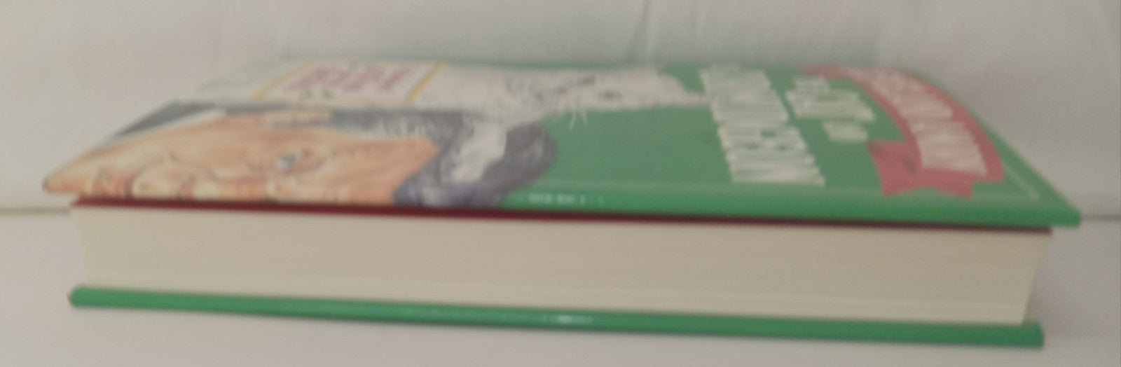 The Cat and the Curmudgeon Cleveland Amory Humor Cats Vintage Gift Book HC