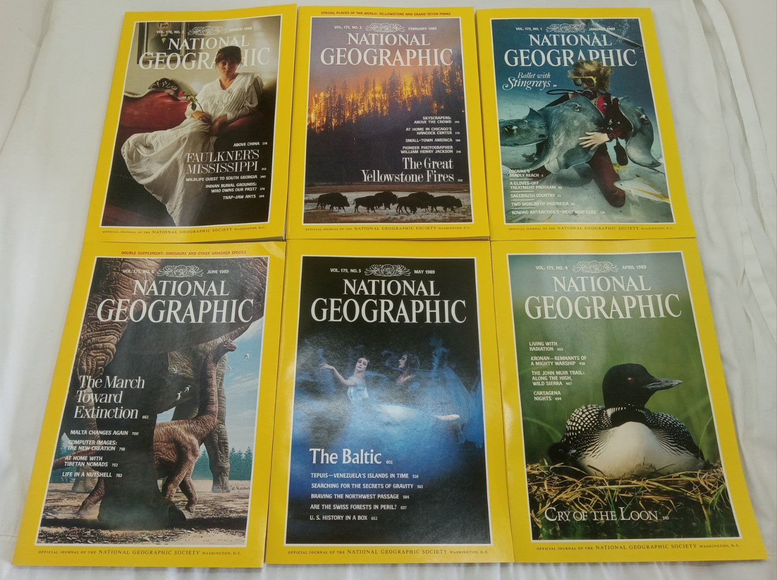 Nat Geo Magazines With Slipcover Jan To June 1989