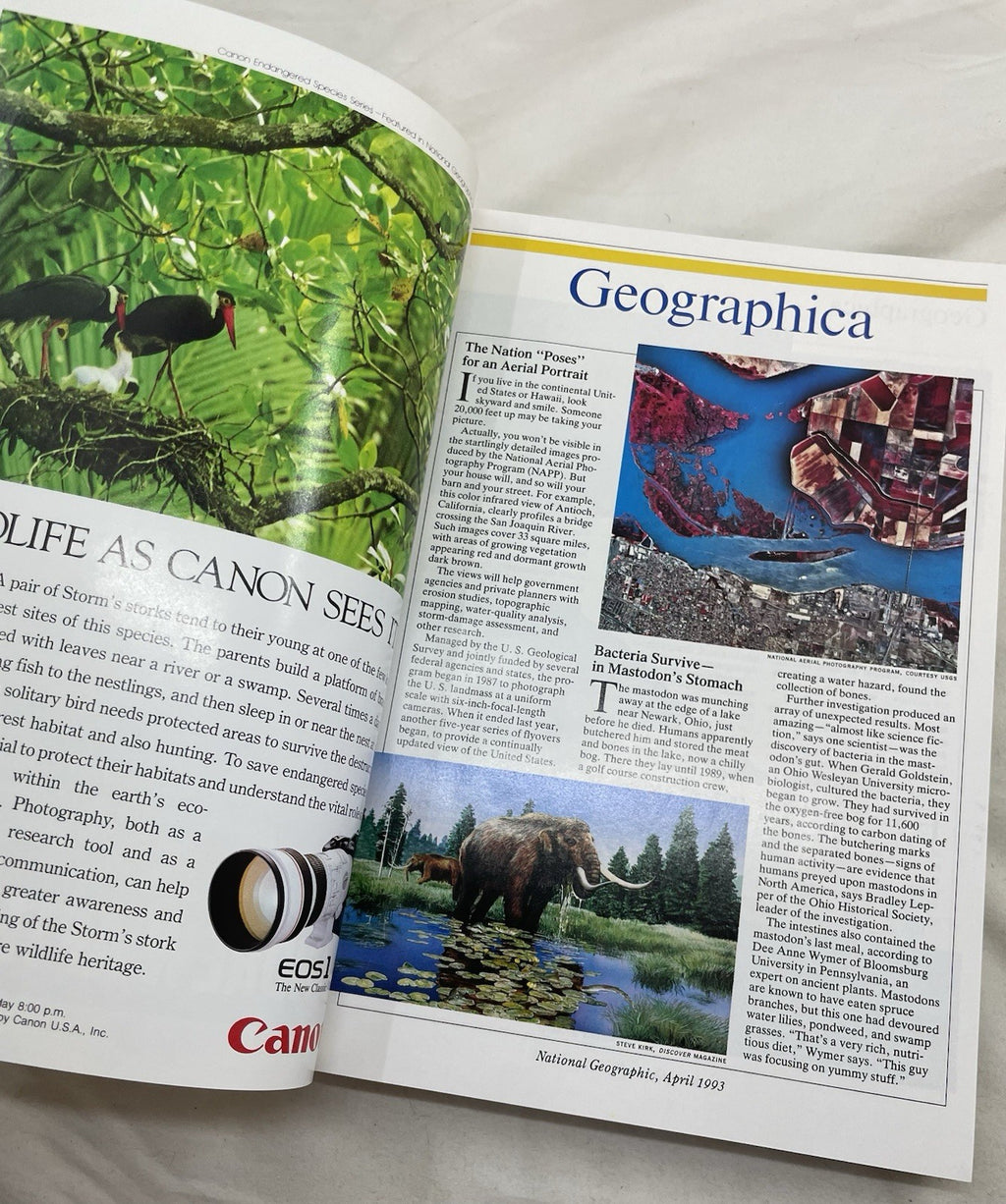 Vintage Nat Geo Lot Jan–Jun 1993 w/ Slipcover | Science, Illustrated Set