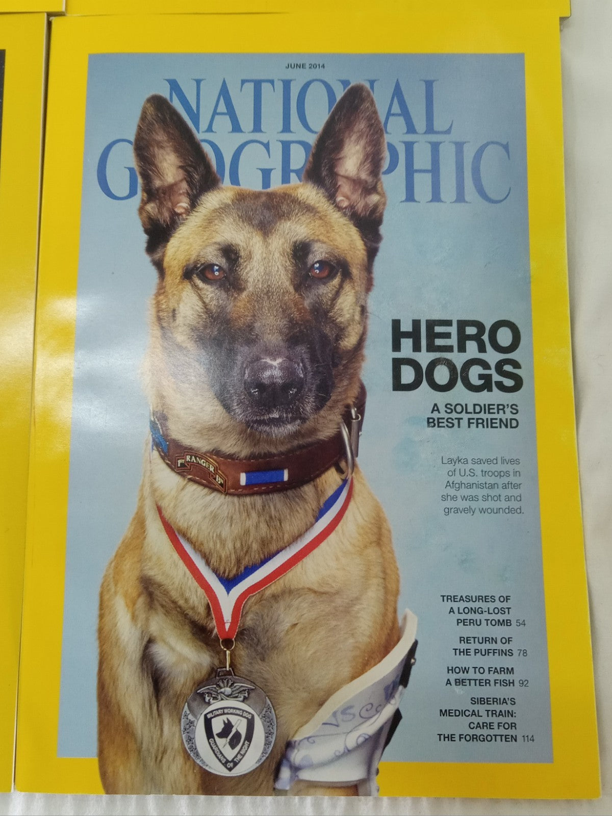 Nat Geo Jan–June 2014 | VG+ Set of 6 | Faux Leatherette Slipcover Case