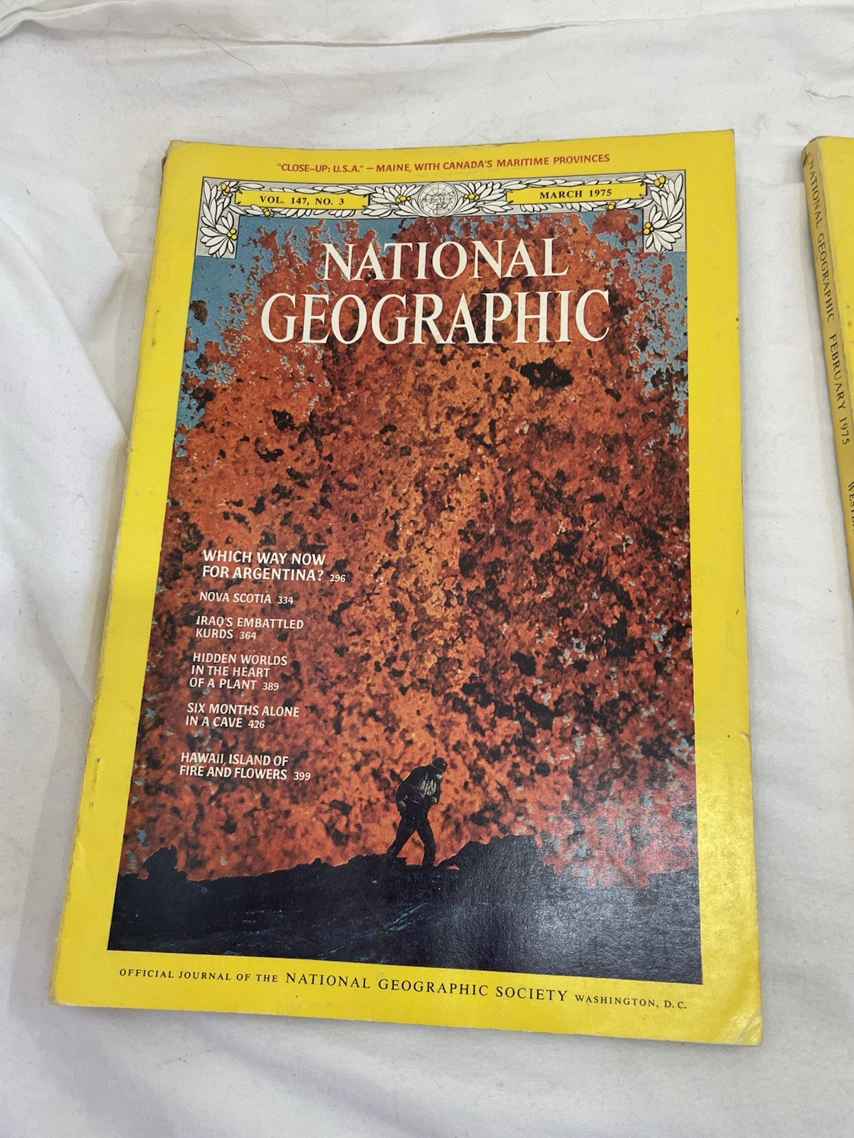 Nat Geo Mags Jan–Jul 1985 Vtg Slipcvr Set Collect Geo Travel Decor Ed.