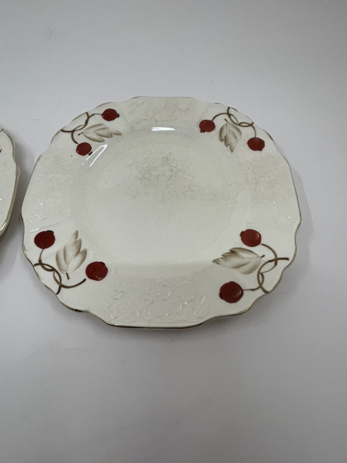 Myott Cherry Ripe Bone China Salad Side Plates x2 English Floral Vintage