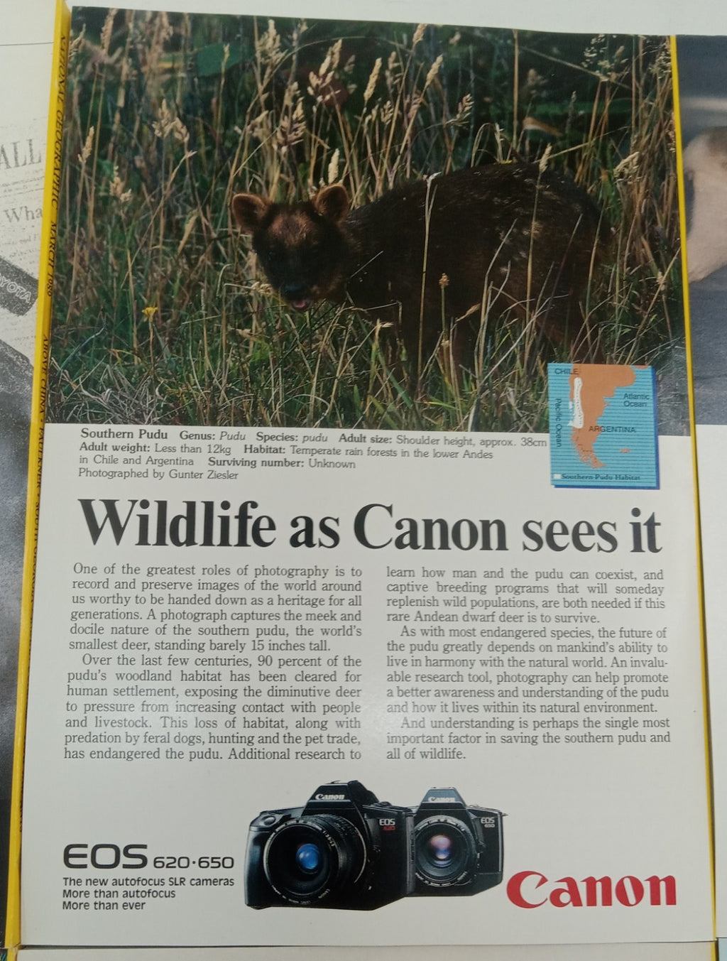 Nat Geo Magazines With Slipcover Jan To June 1989