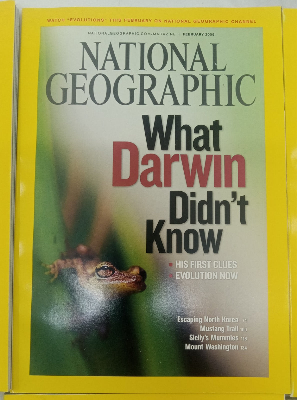 Nat Geo Magazines With Slipcover Jan To June 2009