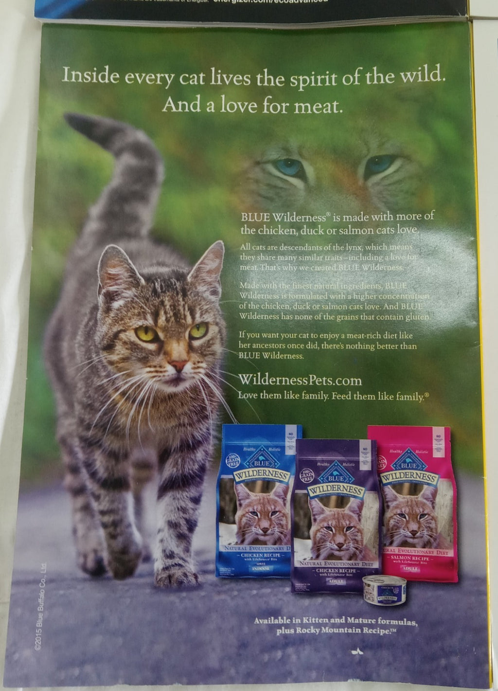 Nat Geo Jan–June 2015 VG+ | Faux Leatherette Case | 6 Issue Magazine Set