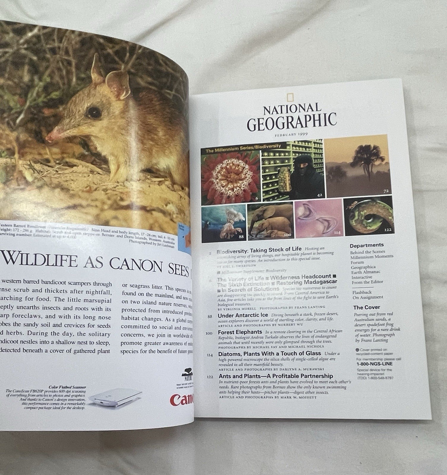 Vintage Nat Geo Jan–Jun 1999 Set w/ Slipcover | Nature, Wildlife, Earth