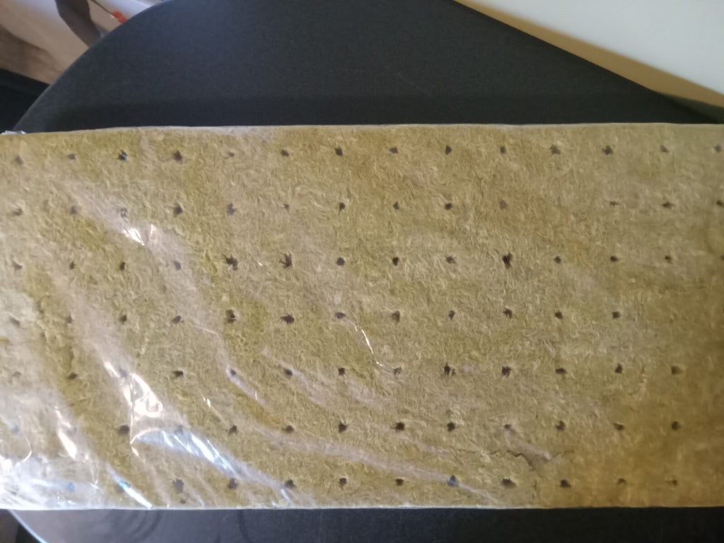 Rockwool Seedling Starter Kit – 100+ Units for Home Gardening and Hydroponics