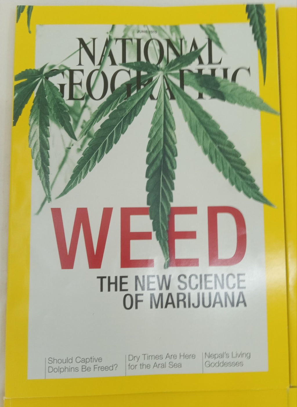 Nat Geo Jan–June 2015 VG+ | Faux Leatherette Case | 6 Issue Magazine Set