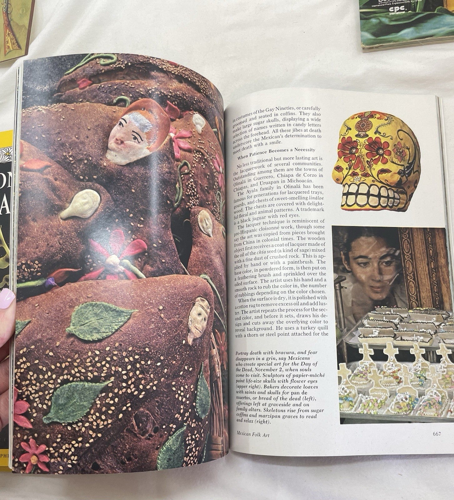 Nat Geo Jan–Jun 1978 Slipcover Lot | Wildlife, Adventure, Exploration