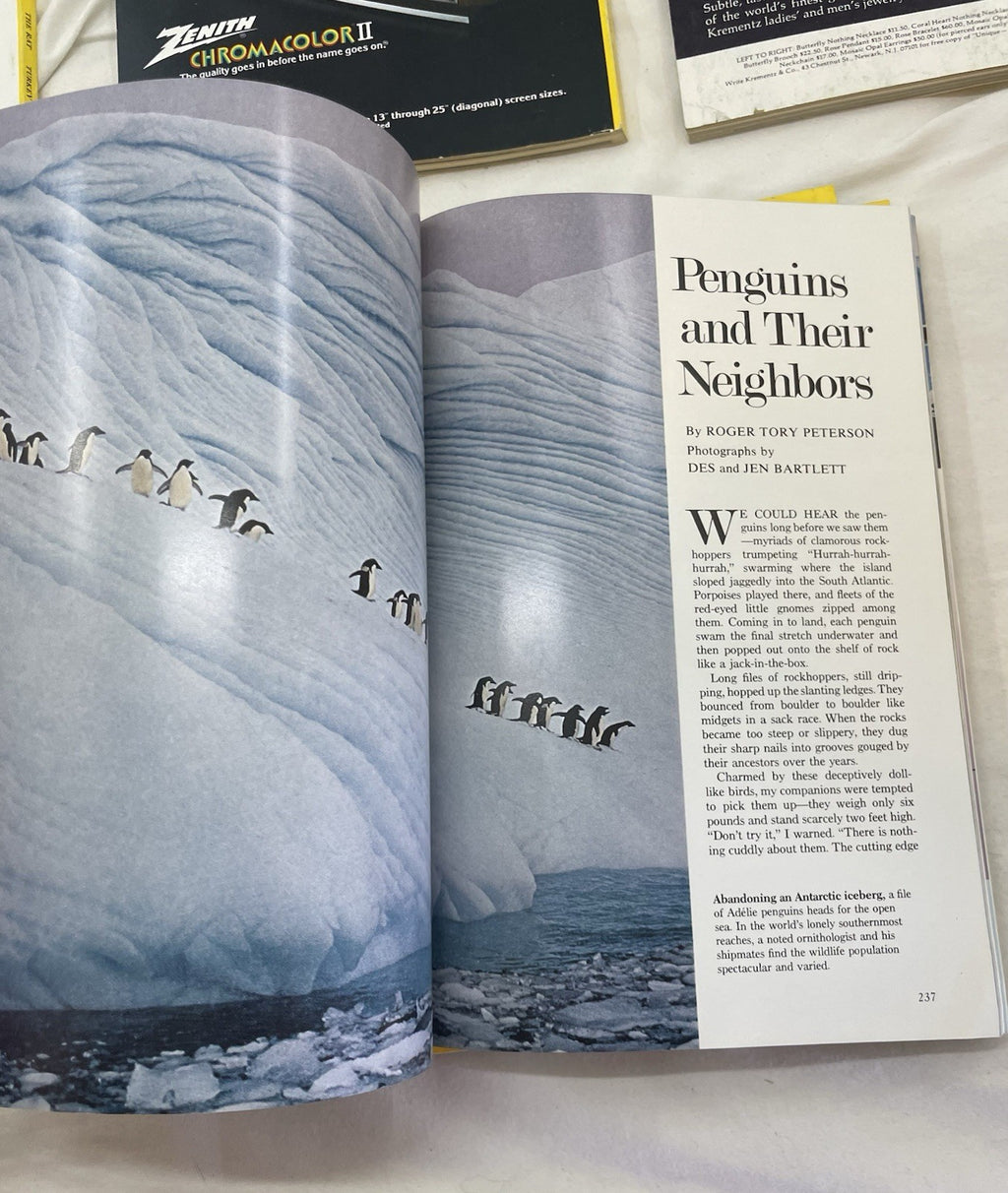 Nat Geo Jul–Dec 1977 Slipcover Set | Illustrated, Wildlife, Discovery