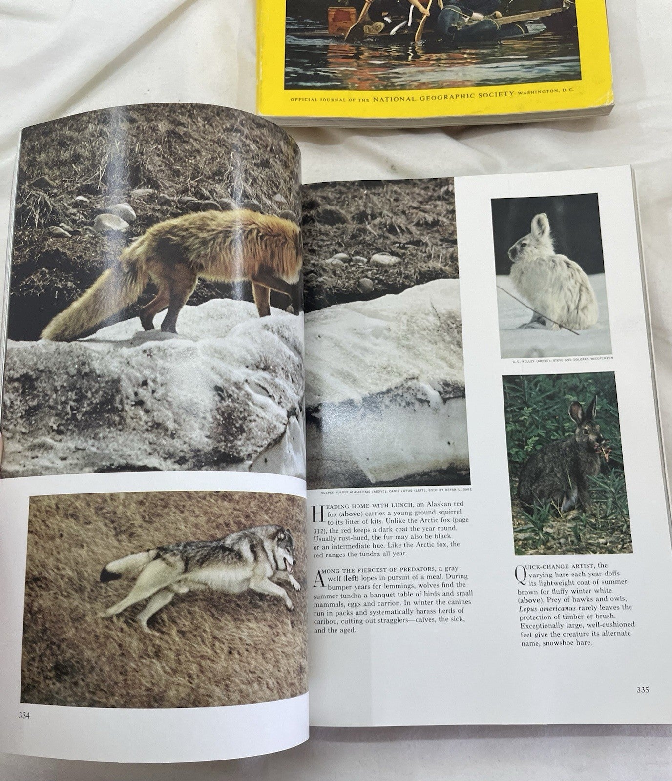 Nat Geo Jan–Jun 1972 Slipcover Lot | Science, Adventure, Earth Series