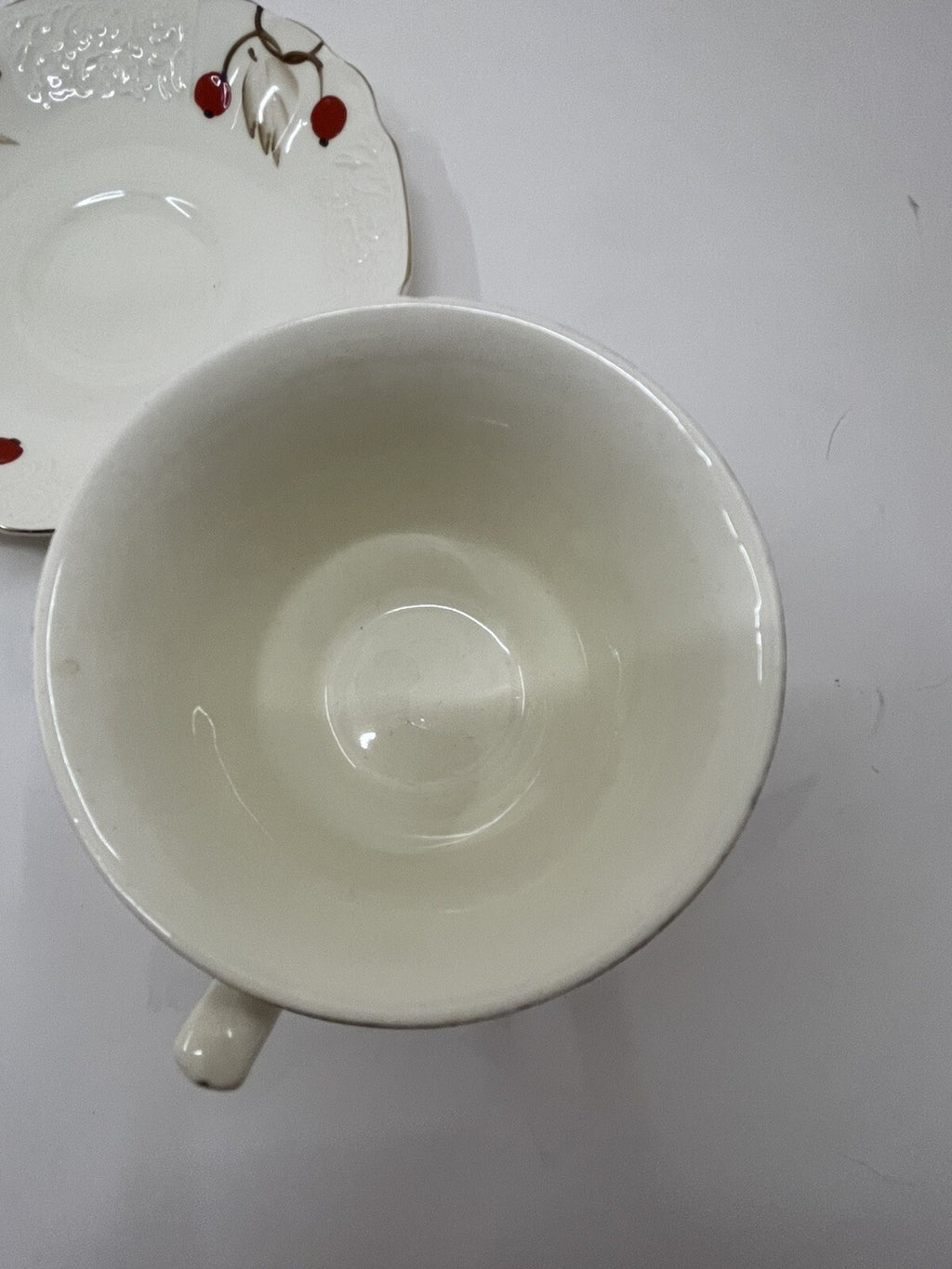 Myott Cherry Ripe Bone China Teacup & Saucer England Rose Floral Classic