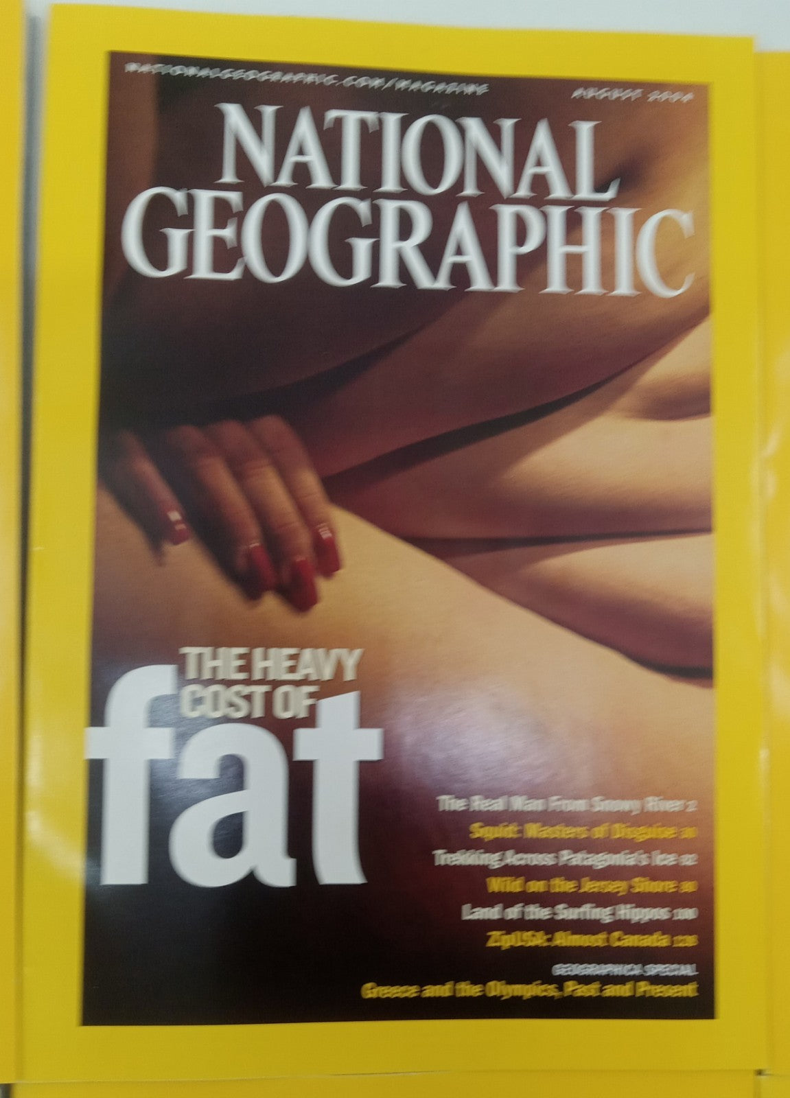 National Geographic Jul–Dec 2004 VG+ | 6 Magazines in Faux Leather Case