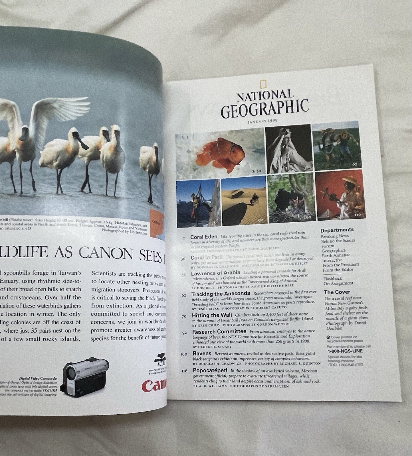 Vintage Nat Geo Jan–Jun 1999 Set w/ Slipcover | Nature, Wildlife, Earth