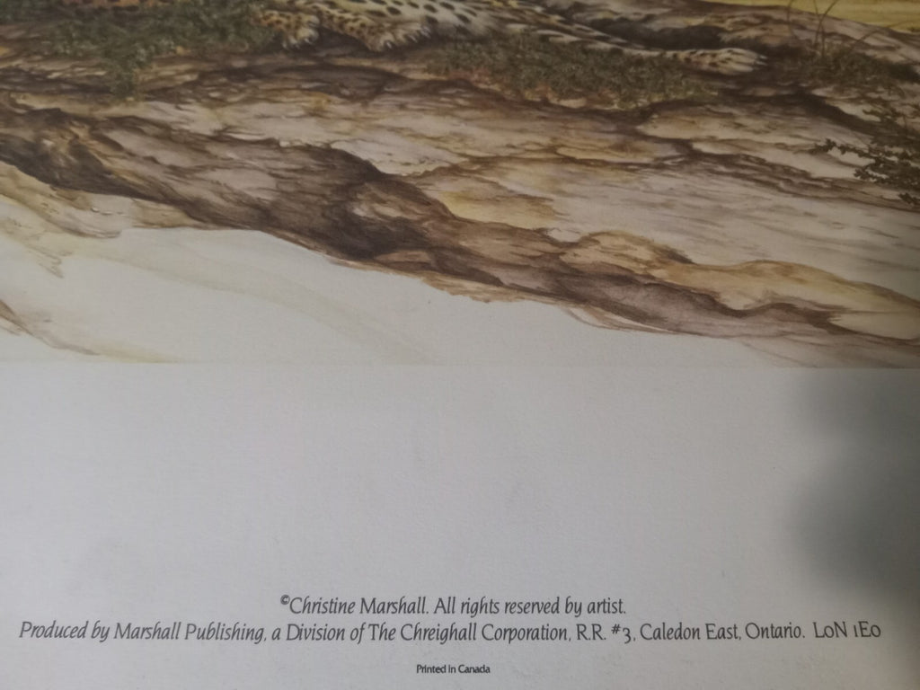 Unframed Limited Edition Cheetah Desert Landscape Print by Artist Marshall