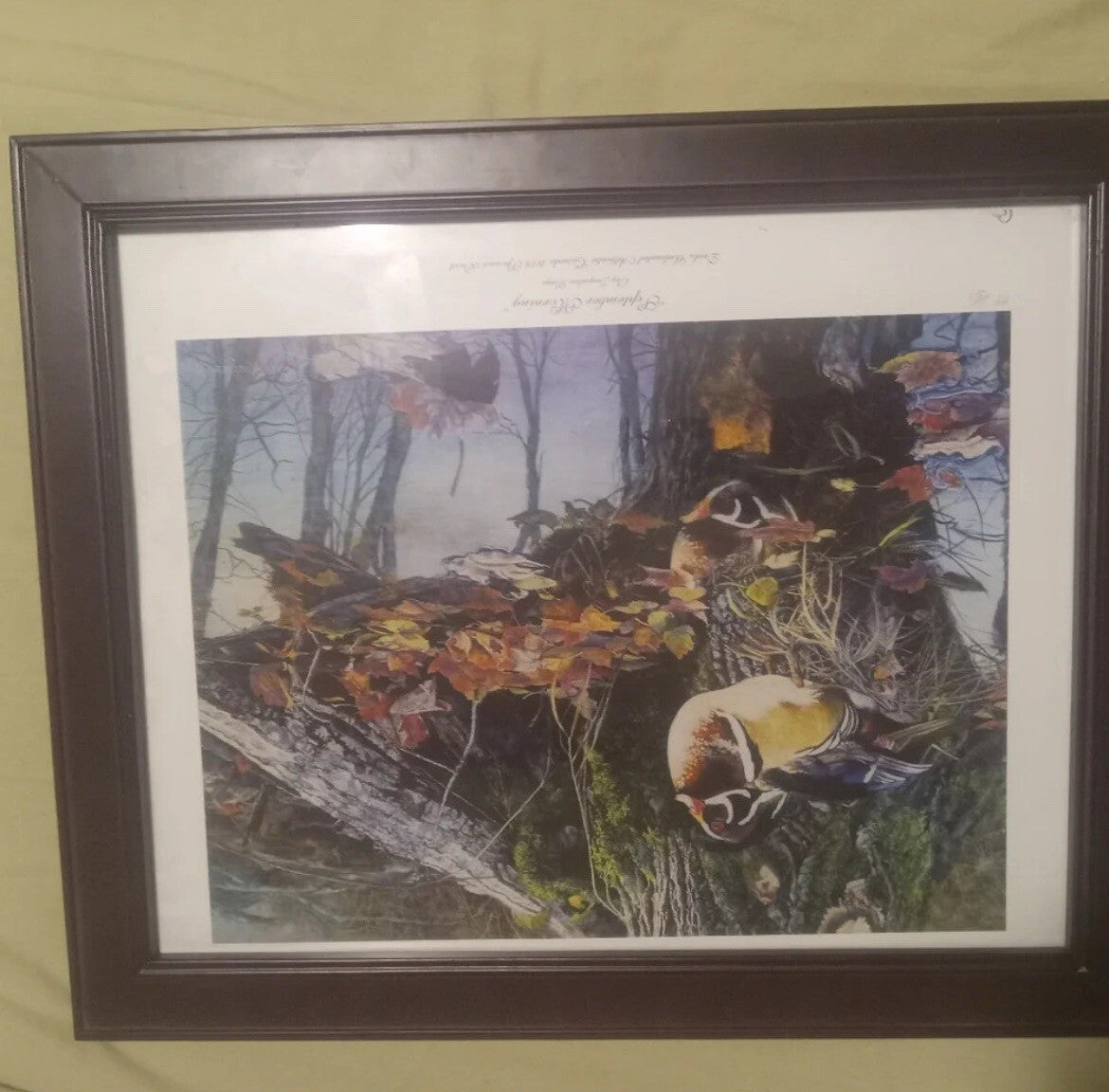 Limited Ed. 2008 Ducks Print Titled “September Morning”
