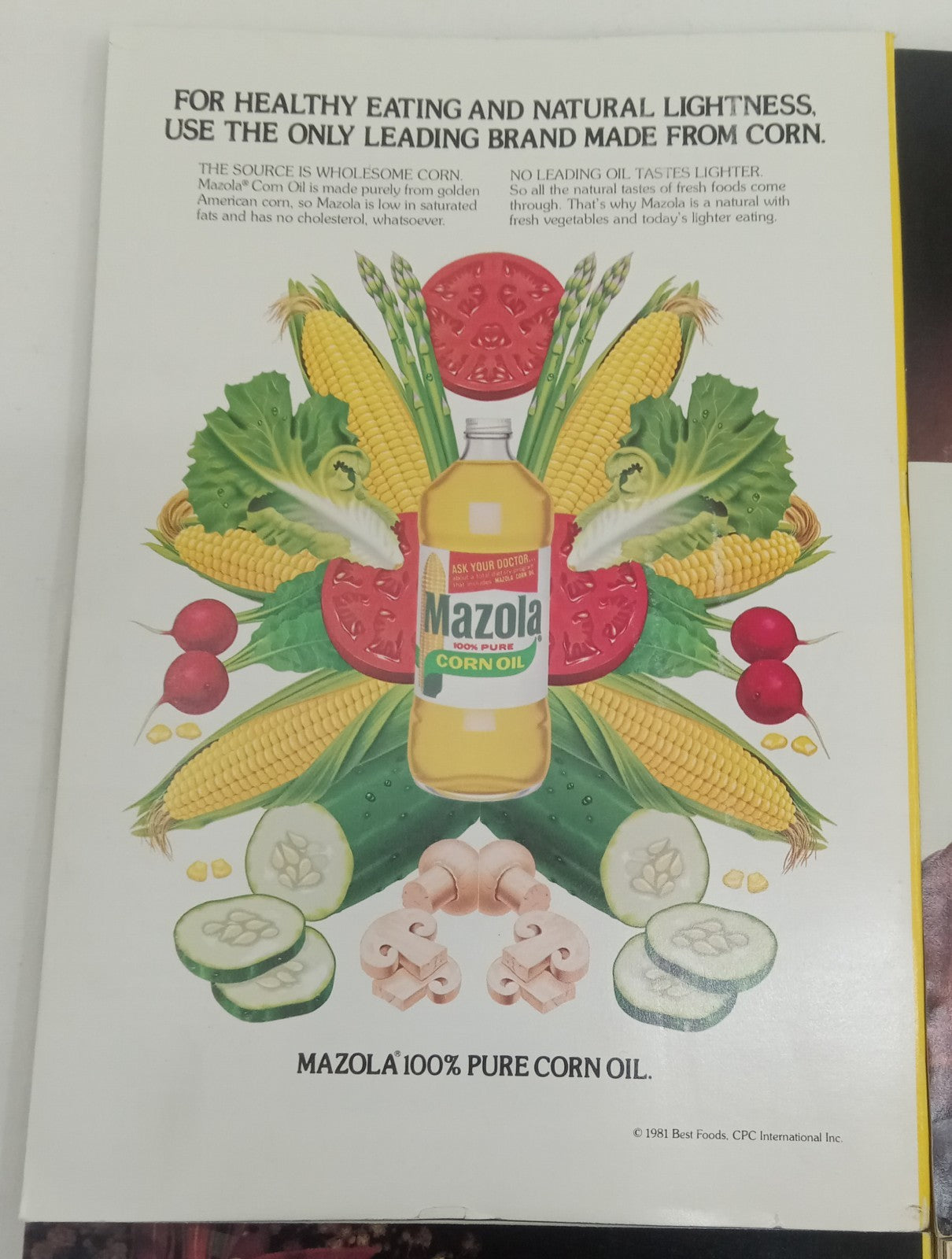 Nat Geo Magazines With Slipcover July To December 1981