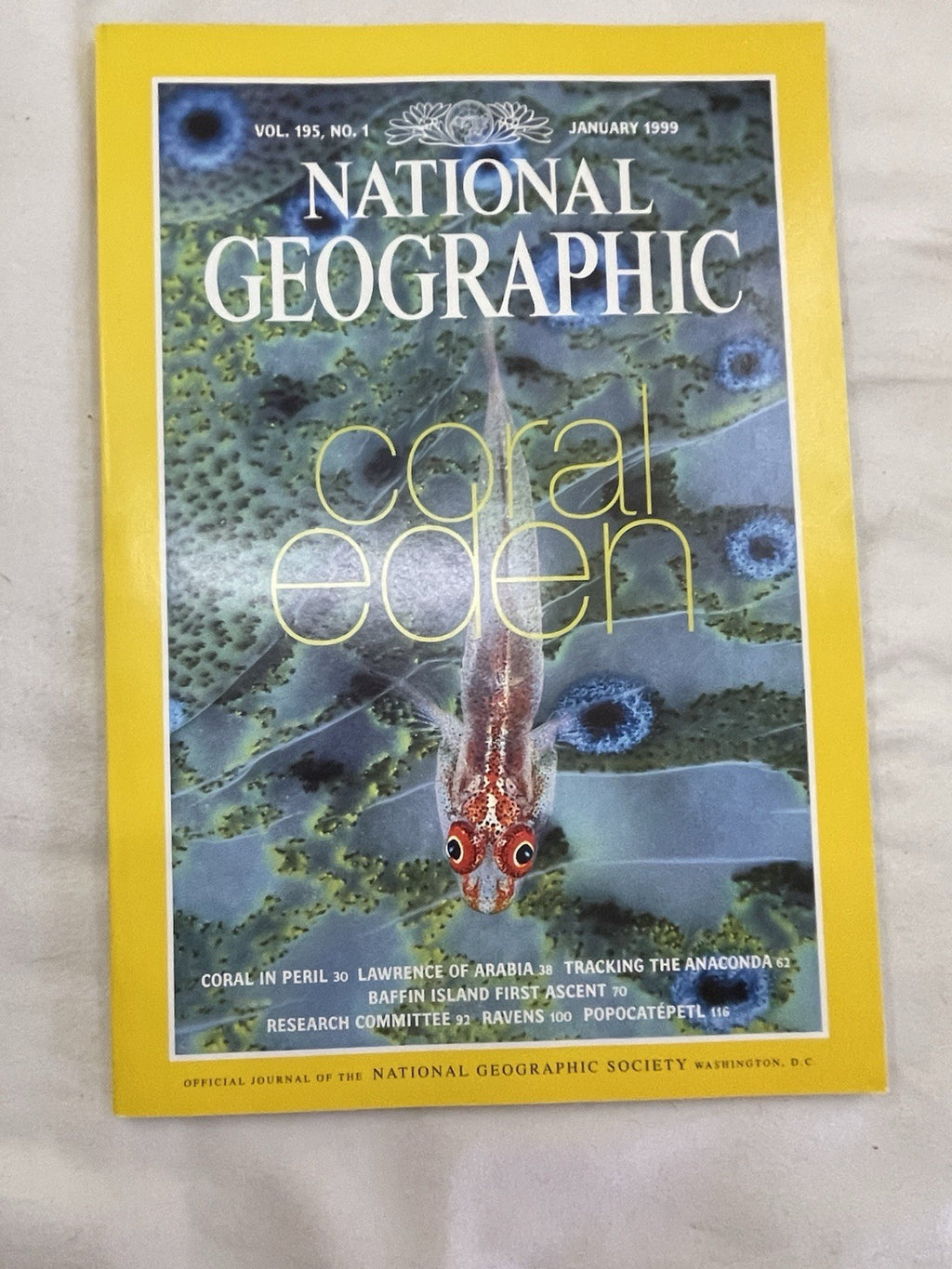 Vintage Nat Geo Jan–Jun 1999 Set w/ Slipcover | Nature, Wildlife, Earth