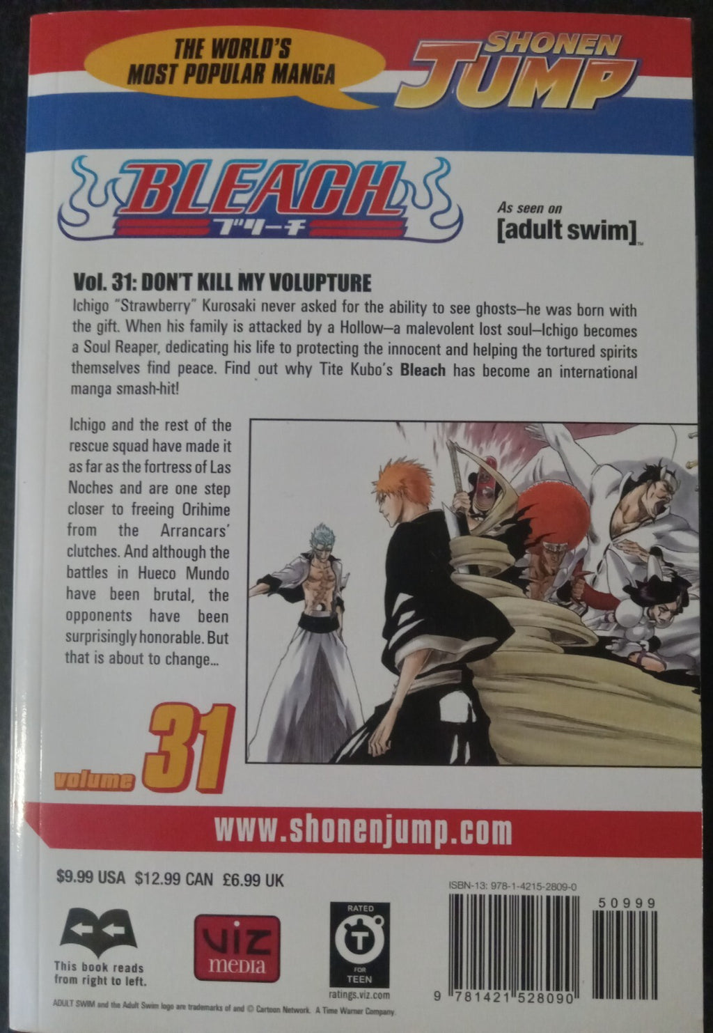 Bleach Vol 31 by Tite Kubo – Viz Jun 2010 Manga PB VG+