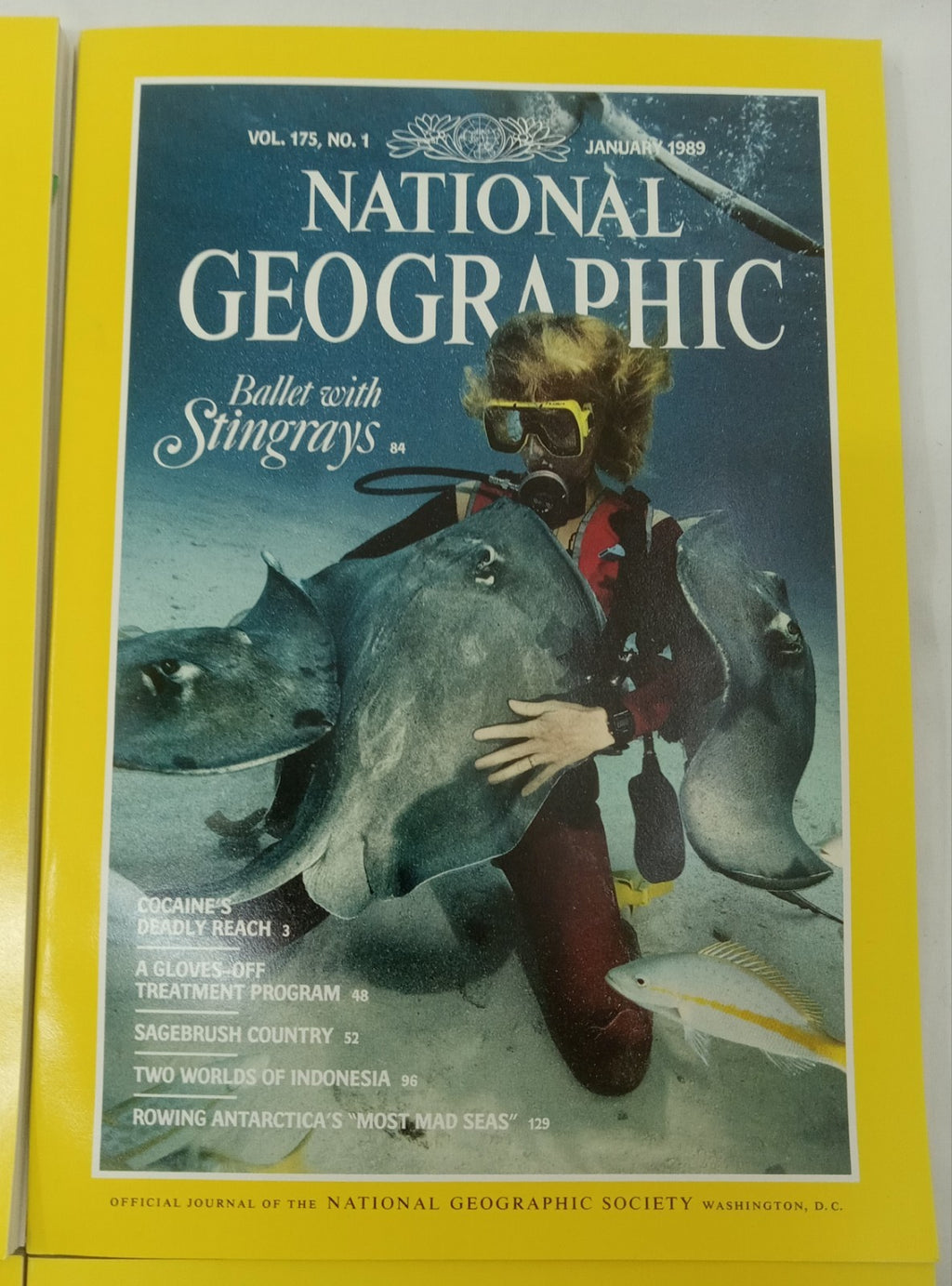 Nat Geo Magazines With Slipcover Jan To June 1989