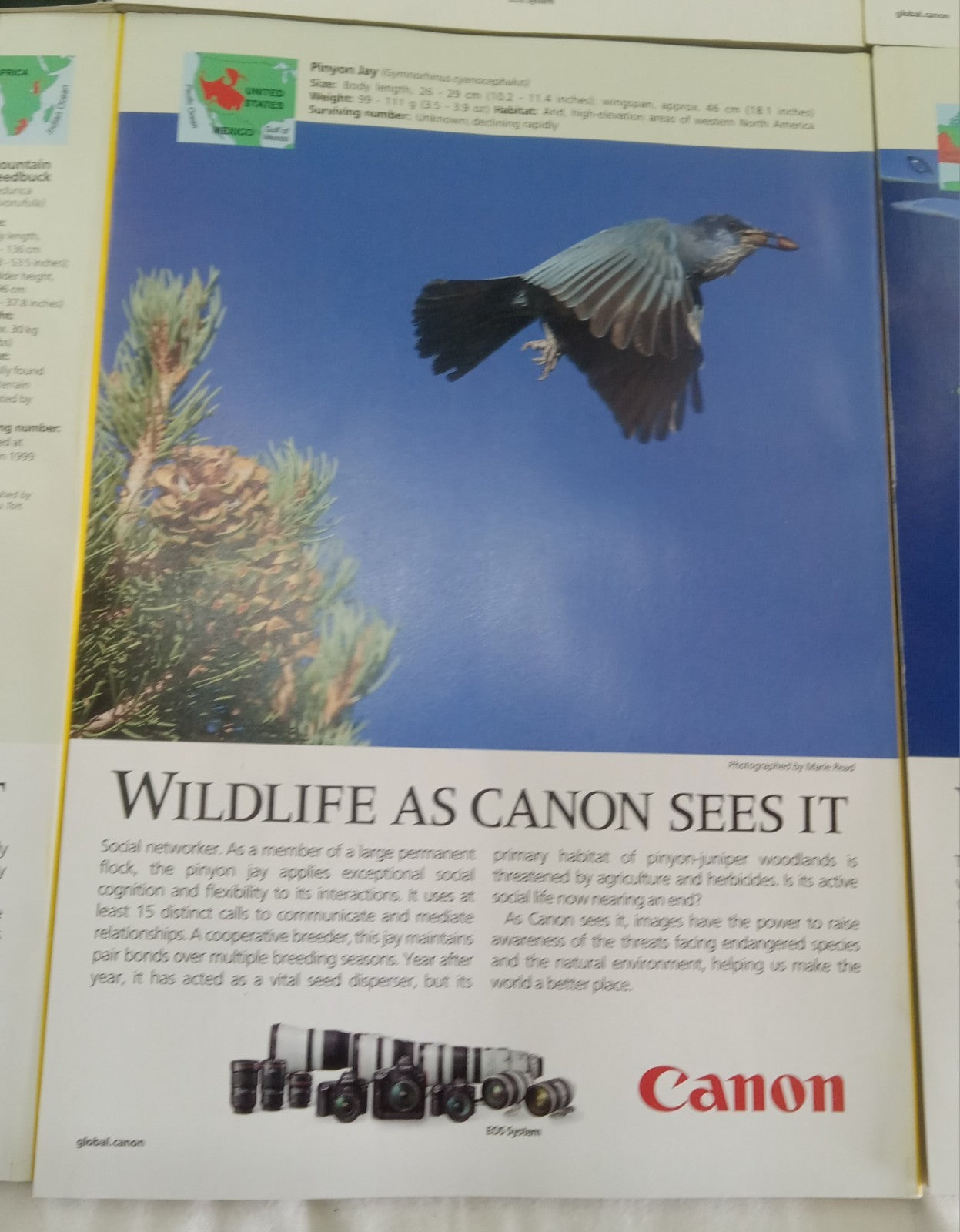 National Geographic Jan–June 2019 VG+ | Faux Leatherette Case | 6 Mags