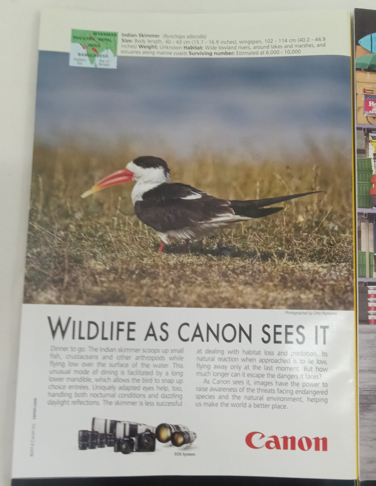 Nat Geo Jan–June 2014 | VG+ Set of 6 | Faux Leatherette Slipcover Case