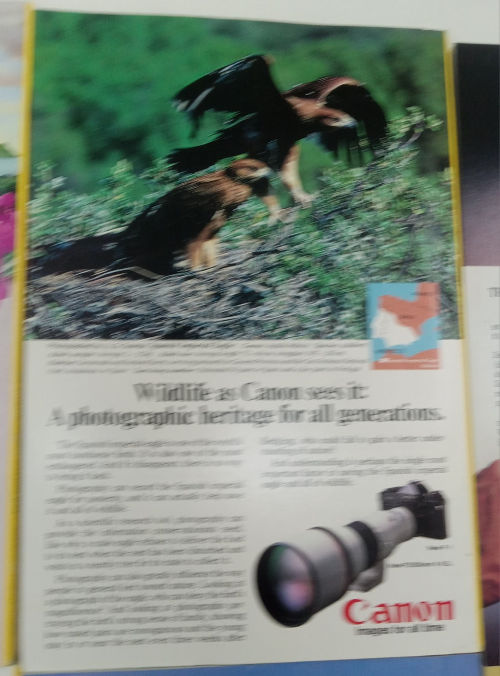 National Geographic Jan–June 1982 | VG+ Vintage Set | 6 Issues + Slipcase